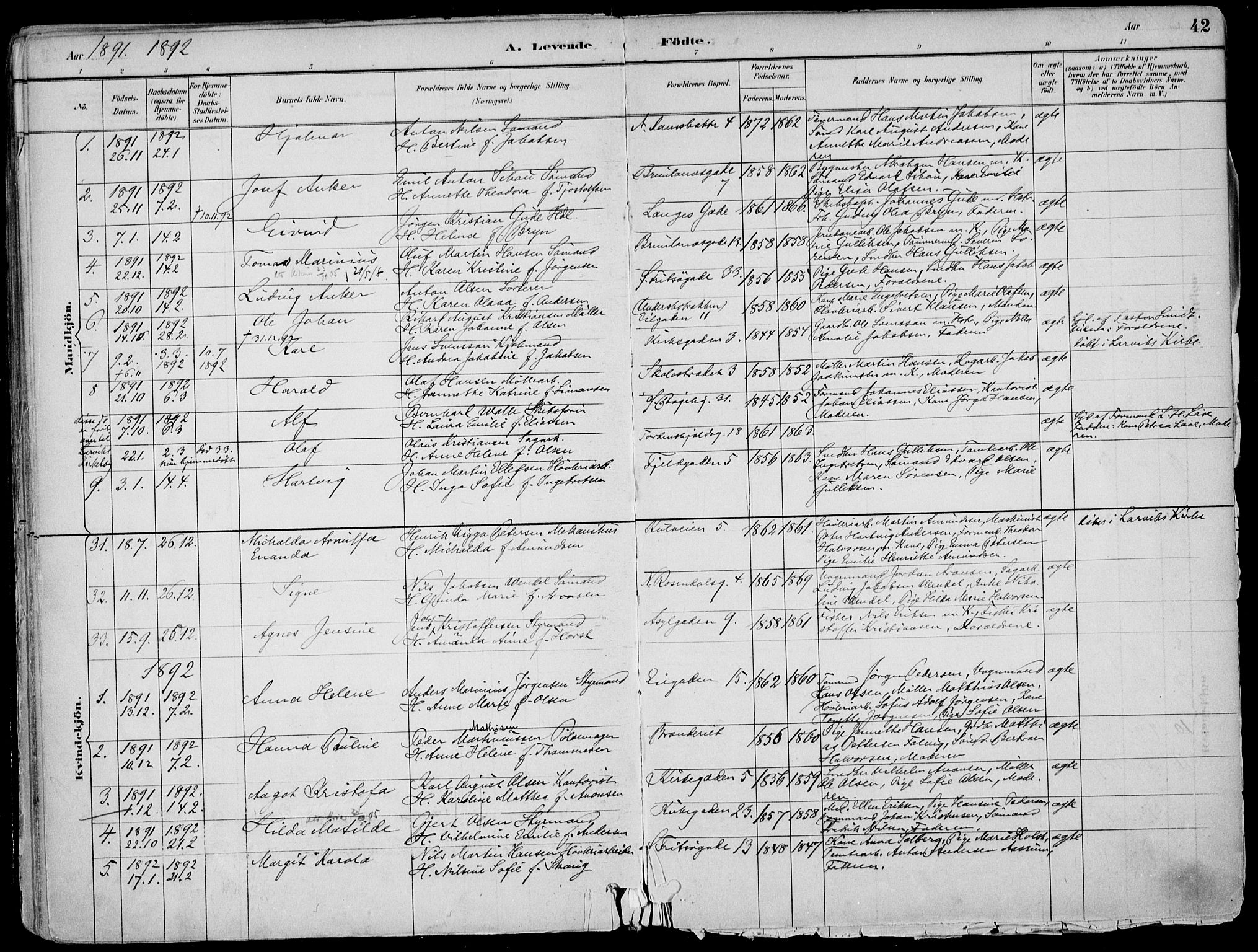 Larvik kirkebøker, AV/SAKO-A-352/F/Fb/L0004: Ministerialbok nr. II 4, 1884-1902, s. 42