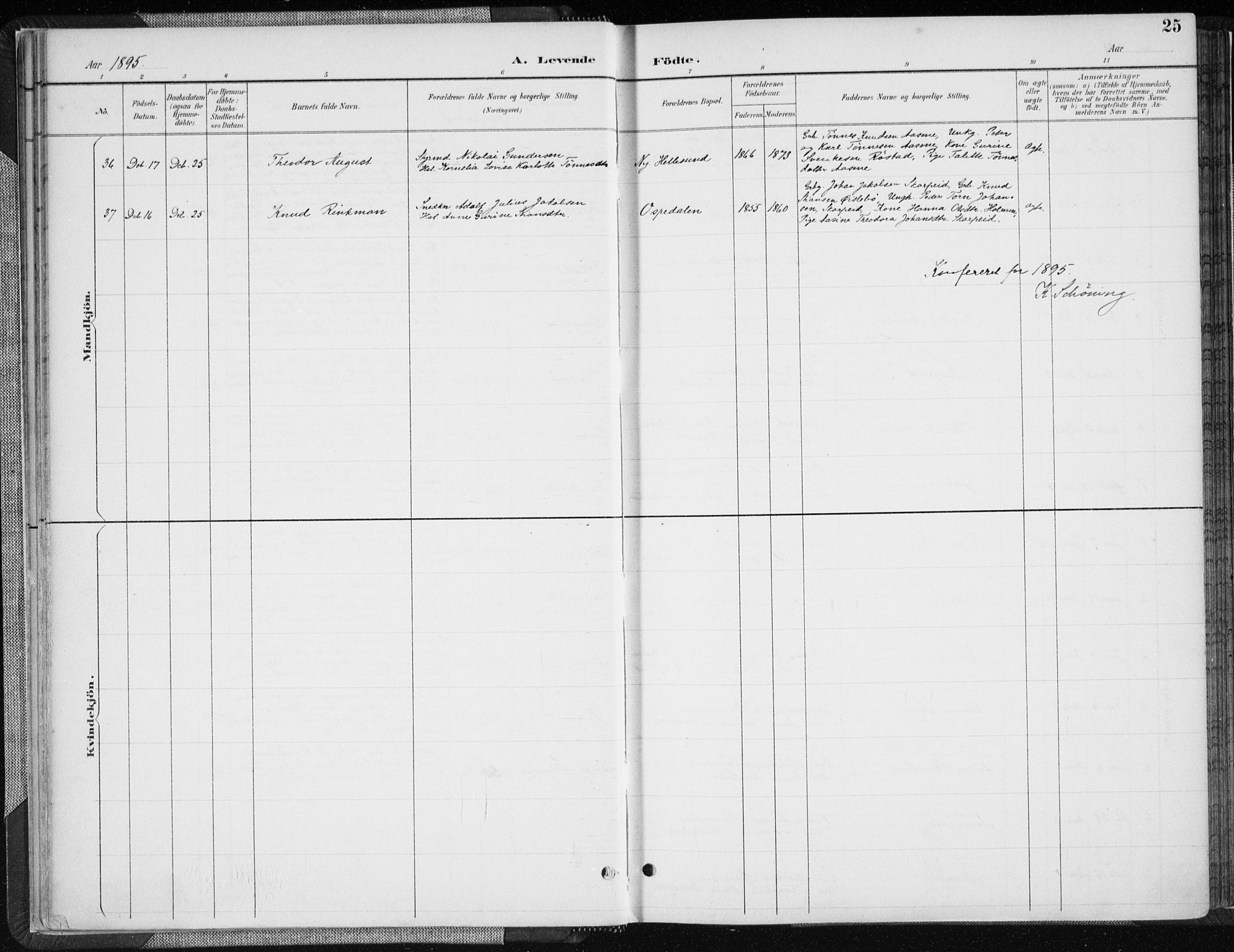 Søgne sokneprestkontor, AV/SAK-1111-0037/F/Fa/Fab/L0013: Ministerialbok nr. A 13, 1892-1911, s. 25