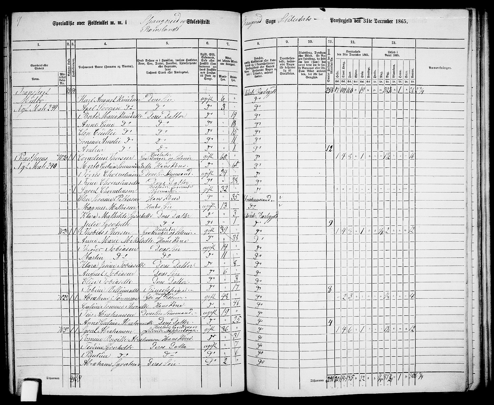 RA, Folketelling 1865 for 1029P Sør-Audnedal prestegjeld, 1865, s. 169