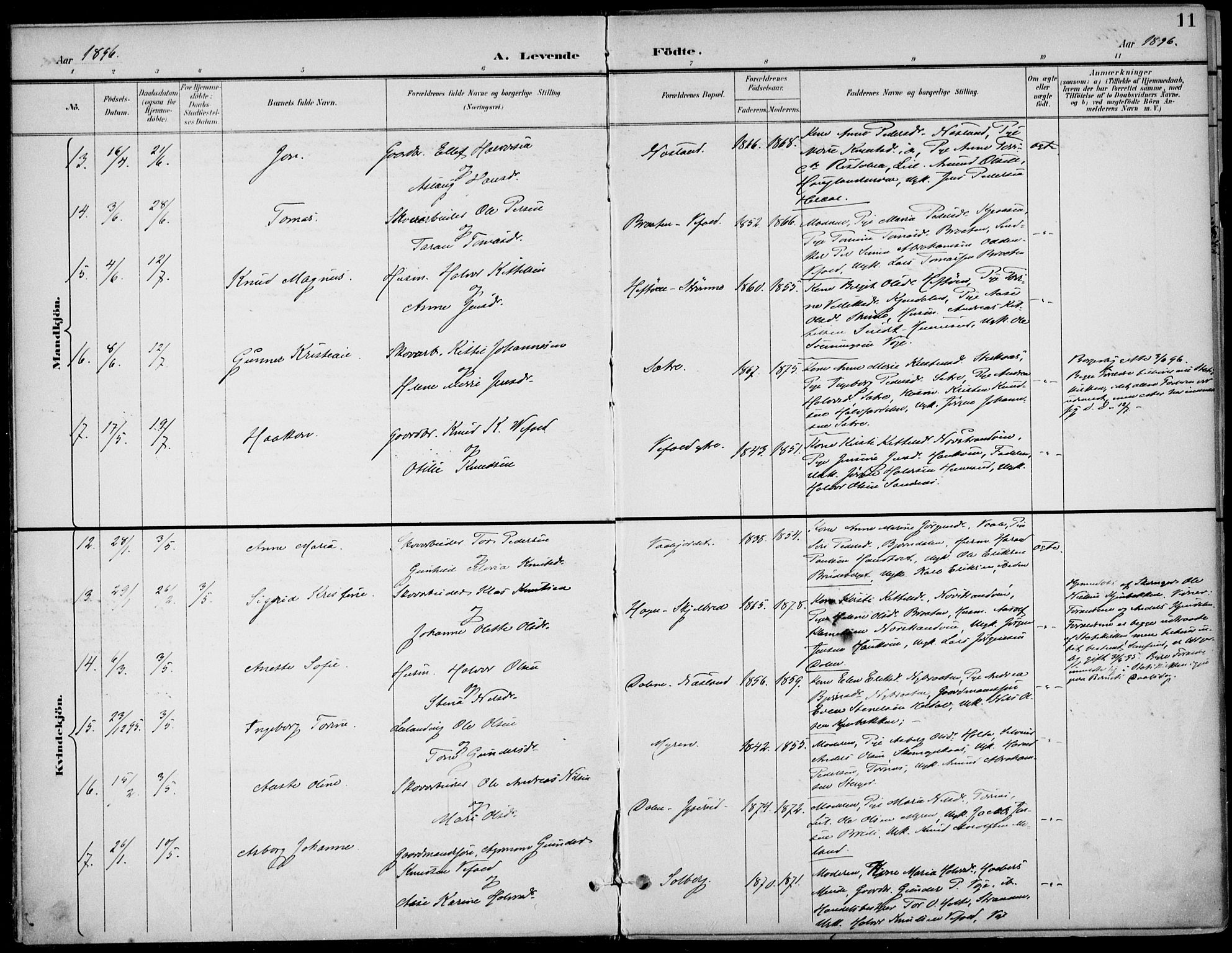 Drangedal kirkebøker, AV/SAKO-A-258/F/Fa/L0012: Ministerialbok nr. 12, 1895-1905, s. 11
