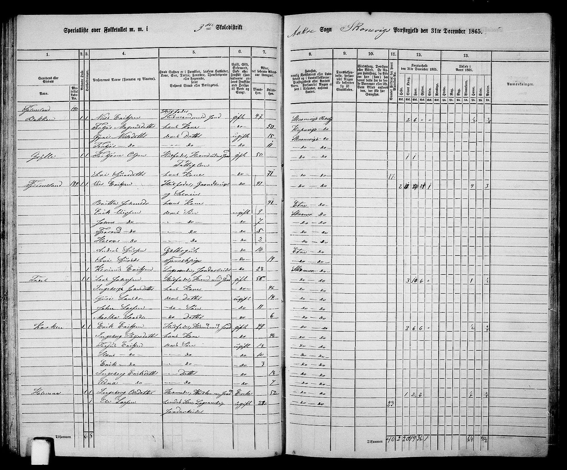 RA, Folketelling 1865 for 1212P Skånevik prestegjeld, 1865, s. 57