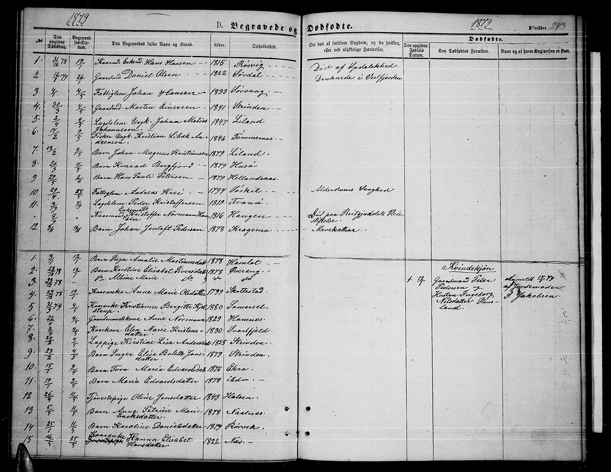 Ministerialprotokoller, klokkerbøker og fødselsregistre - Nordland, AV/SAT-A-1459/859/L0858: Klokkerbok nr. 859C04, 1873-1886, s. 243