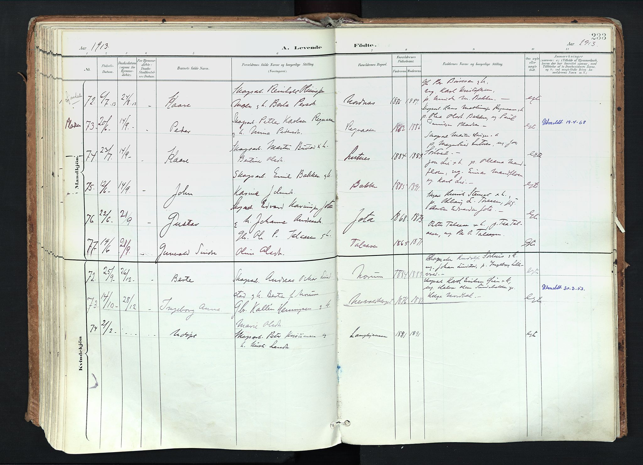 Trysil prestekontor, AV/SAH-PREST-046/H/Ha/Haa/L0012: Ministerialbok nr. 12, 1898-1917, s. 233