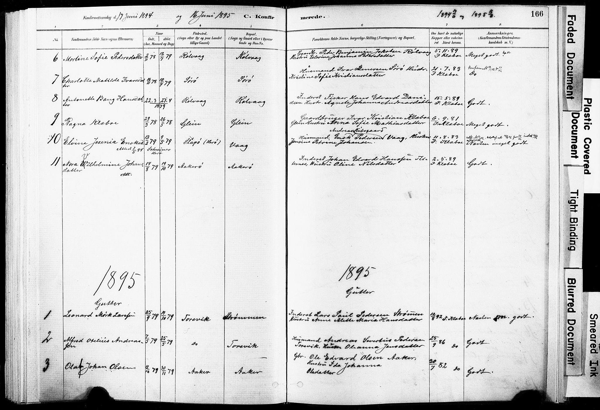 Ministerialprotokoller, klokkerbøker og fødselsregistre - Nordland, SAT/A-1459/835/L0525: Ministerialbok nr. 835A03I, 1881-1910, s. 166