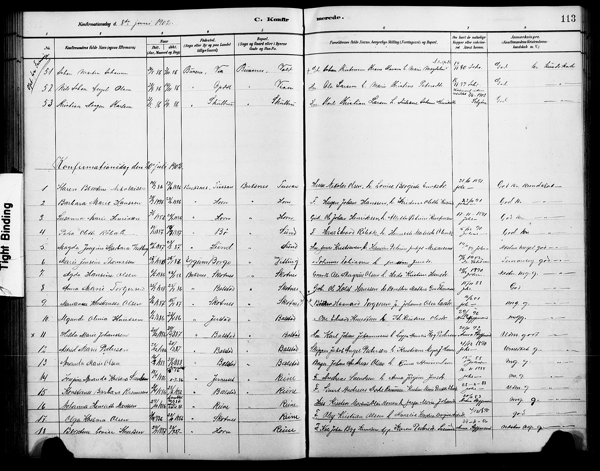 Ministerialprotokoller, klokkerbøker og fødselsregistre - Nordland, AV/SAT-A-1459/881/L1168: Klokkerbok nr. 881C05, 1900-1911, s. 113