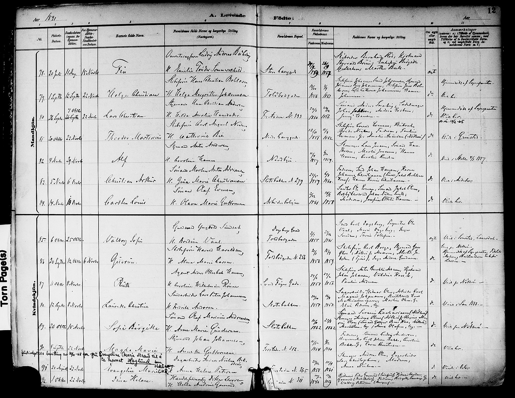 Tønsberg kirkebøker, AV/SAKO-A-330/F/Fa/L0012: Ministerialbok nr. I 12, 1891-1899, s. 12
