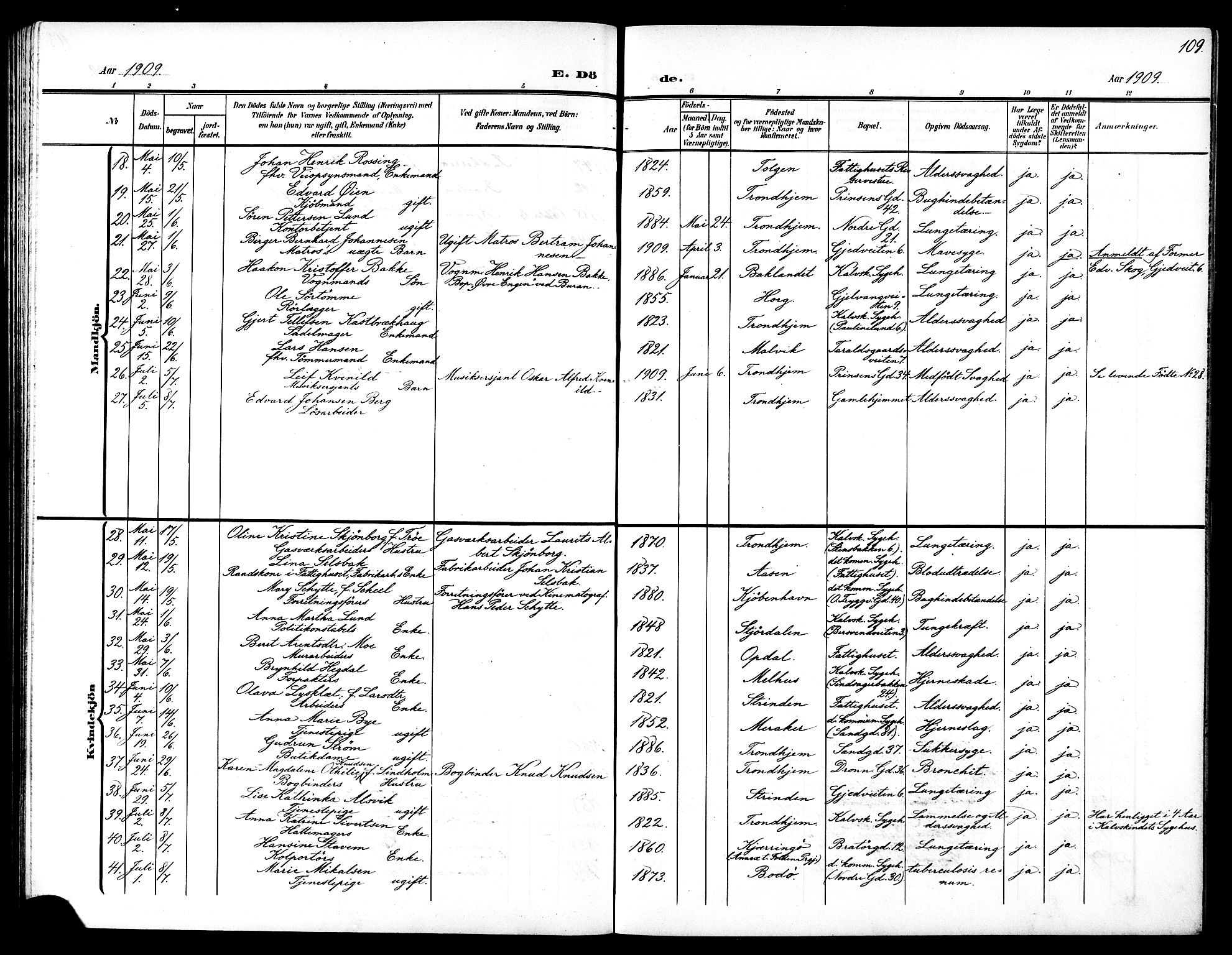 Ministerialprotokoller, klokkerbøker og fødselsregistre - Sør-Trøndelag, SAT/A-1456/602/L0146: Klokkerbok nr. 602C14, 1904-1914, s. 109