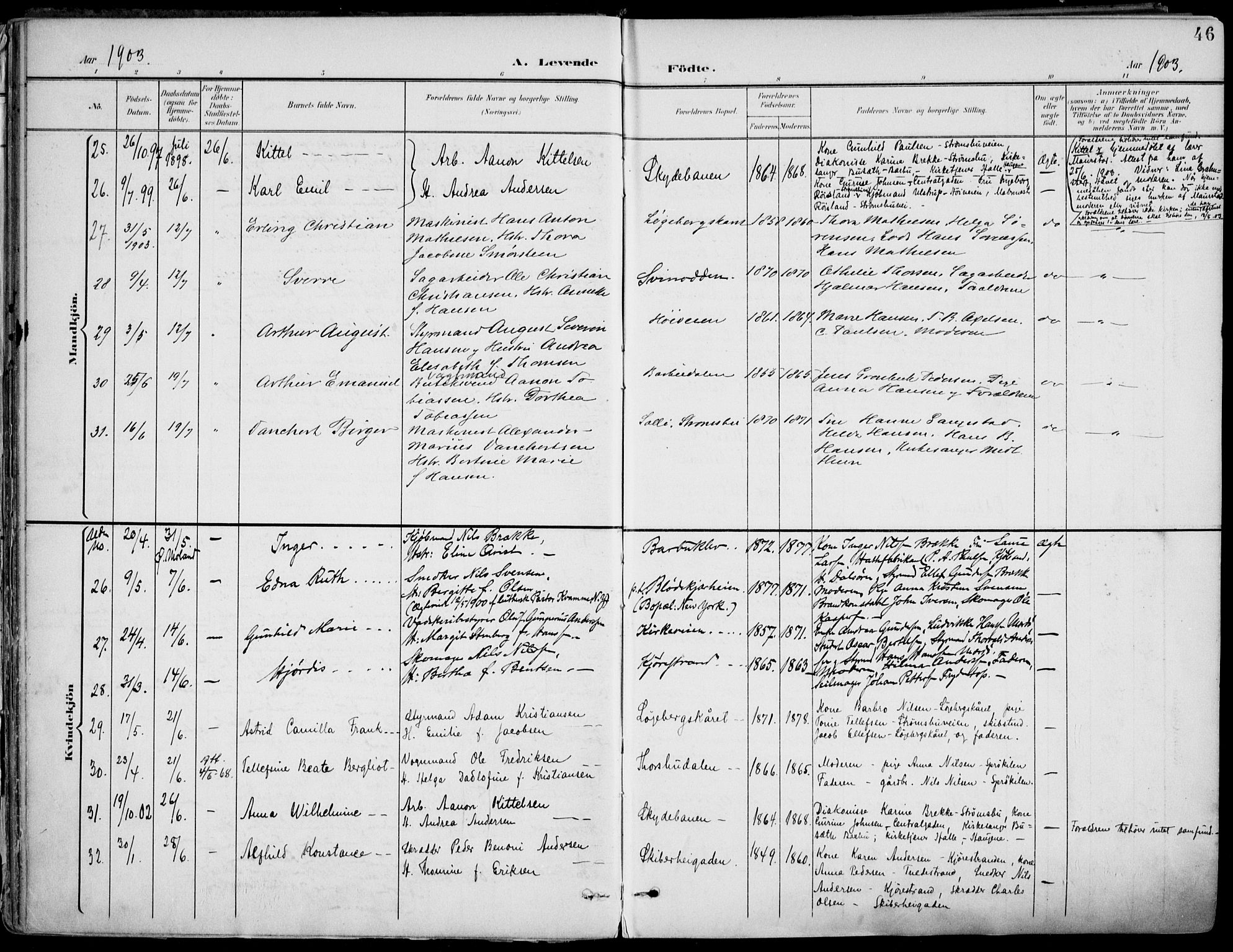 Barbu sokneprestkontor, AV/SAK-1111-0003/F/Fa/L0005: Ministerialbok nr. A 5, 1899-1909, s. 46