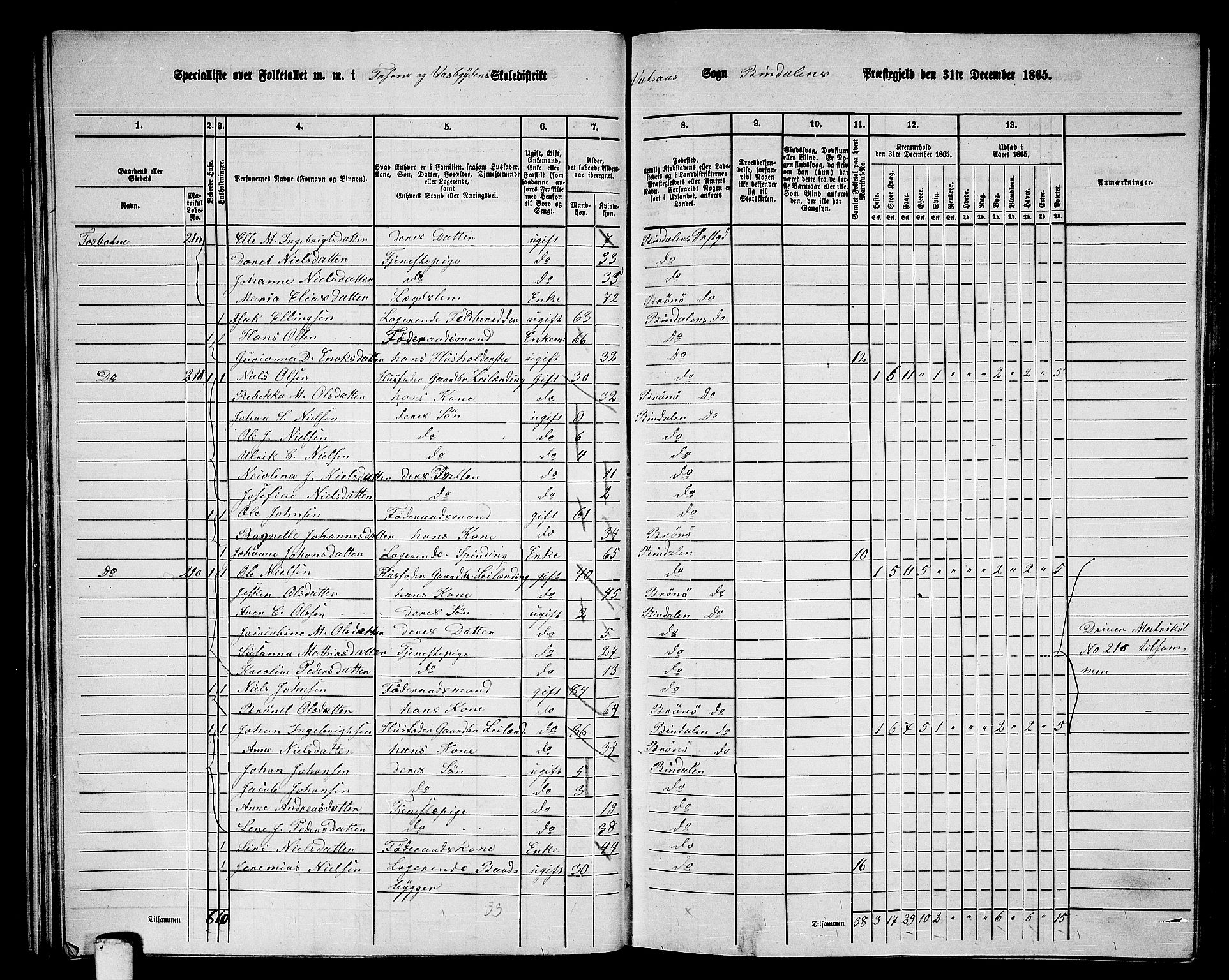 RA, Folketelling 1865 for 1811P Bindal prestegjeld, 1865, s. 33