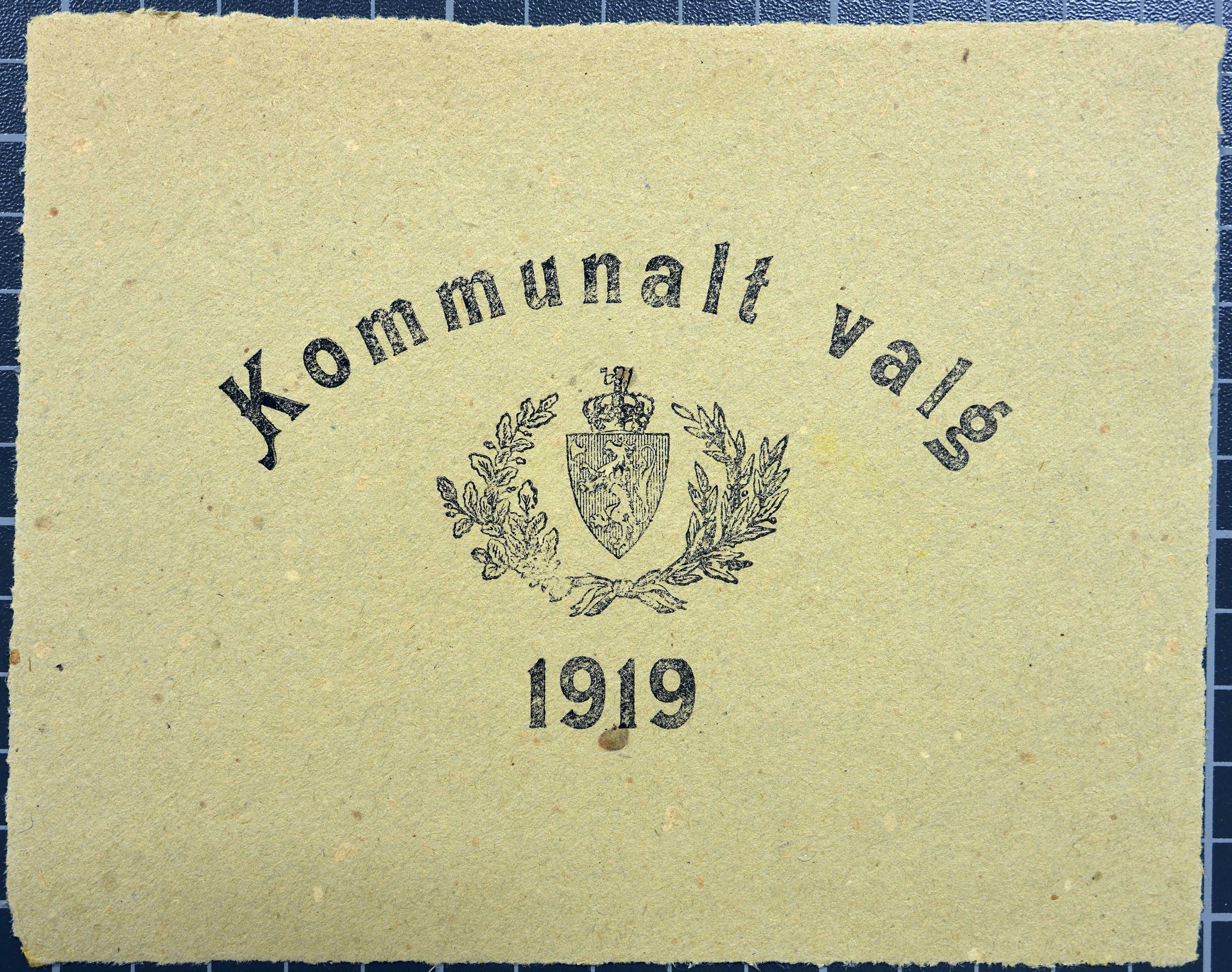 Vestre Toten kommunearkiv*, KVT/-/-/-: Manntall over stemmeberettigede innbyggere ved kommunale valg i Vestre Toten valgsokn, 1919