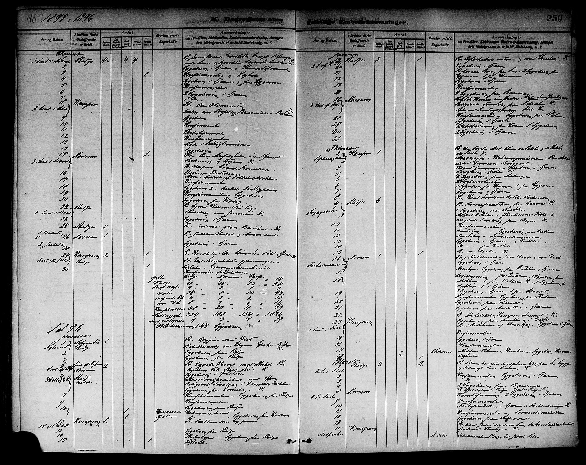 Sogndal sokneprestembete, AV/SAB-A-81301/H/Haa/Haab/L0001: Ministerialbok nr. B 1, 1878-1899, s. 250