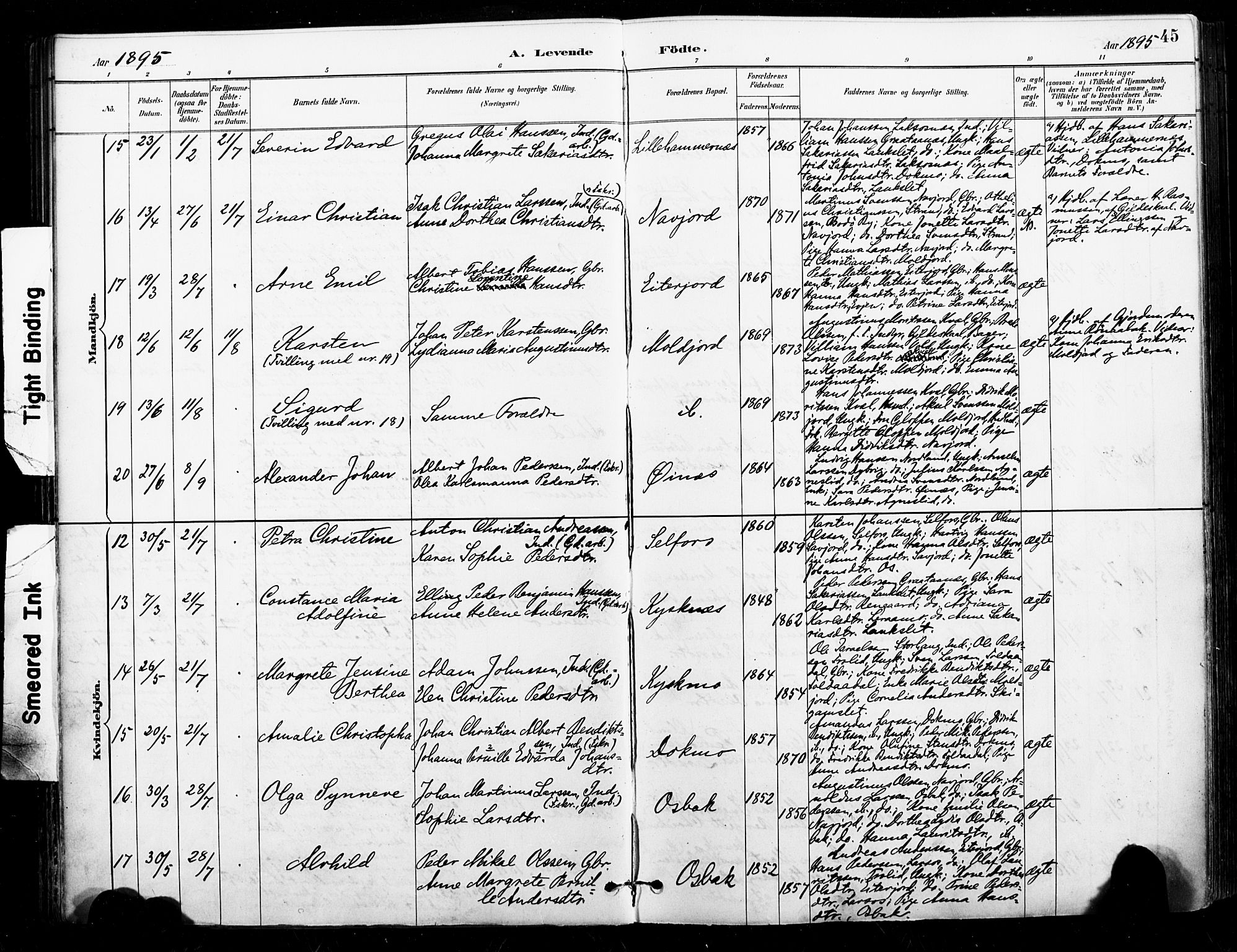 Ministerialprotokoller, klokkerbøker og fødselsregistre - Nordland, AV/SAT-A-1459/846/L0646: Ministerialbok nr. 846A04, 1887-1901, s. 45