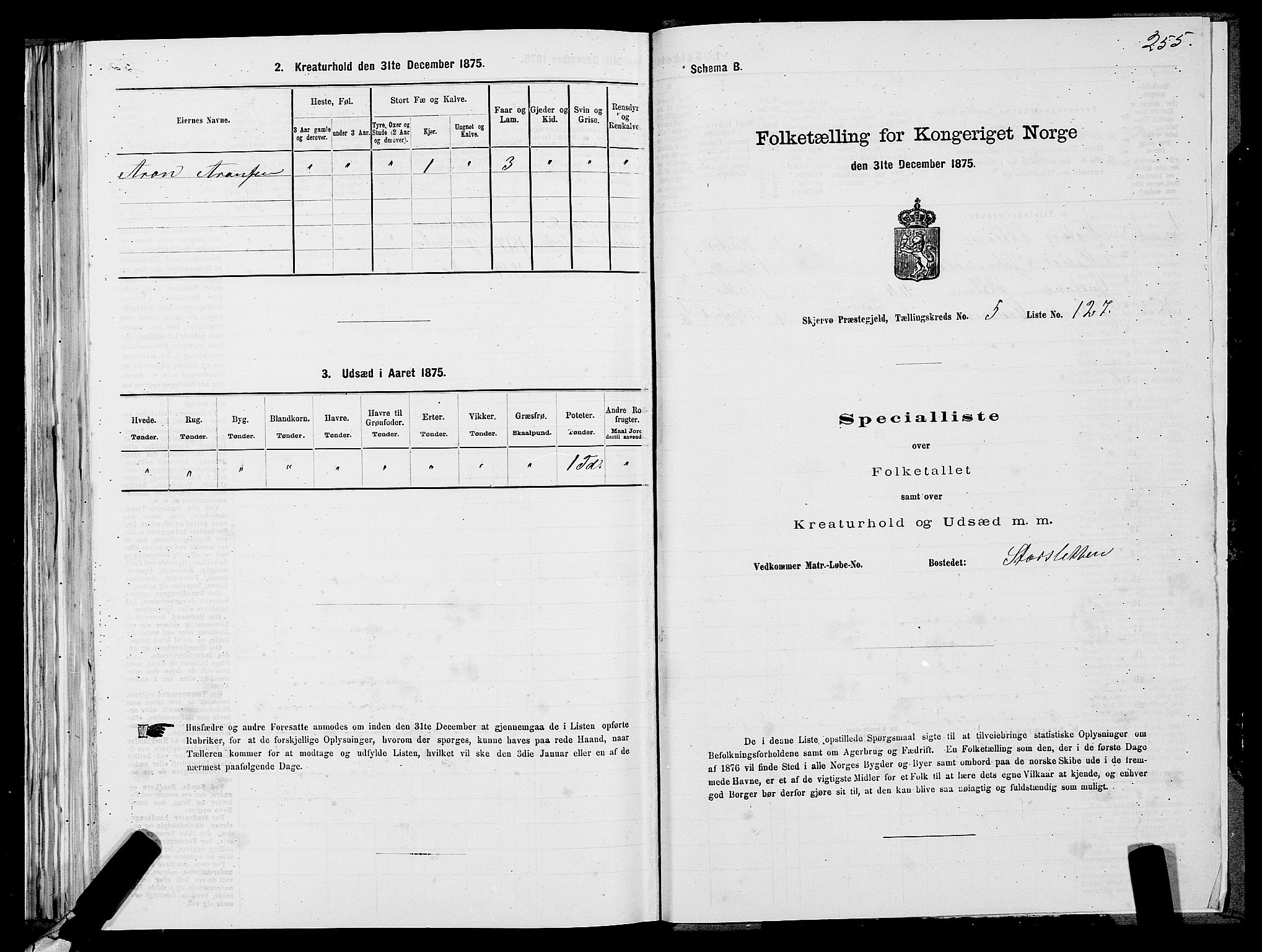 SATØ, Folketelling 1875 for 1941P Skjervøy prestegjeld, 1875, s. 4255