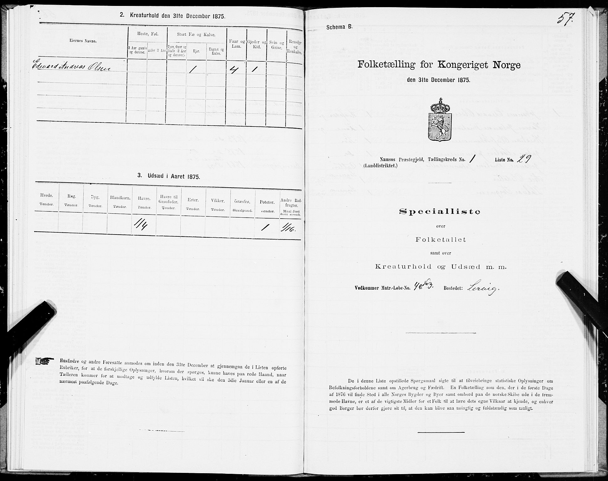 SAT, Folketelling 1875 for 1745L Namsos prestegjeld, Vemundvik sokn og Sævik sokn, 1875, s. 1057