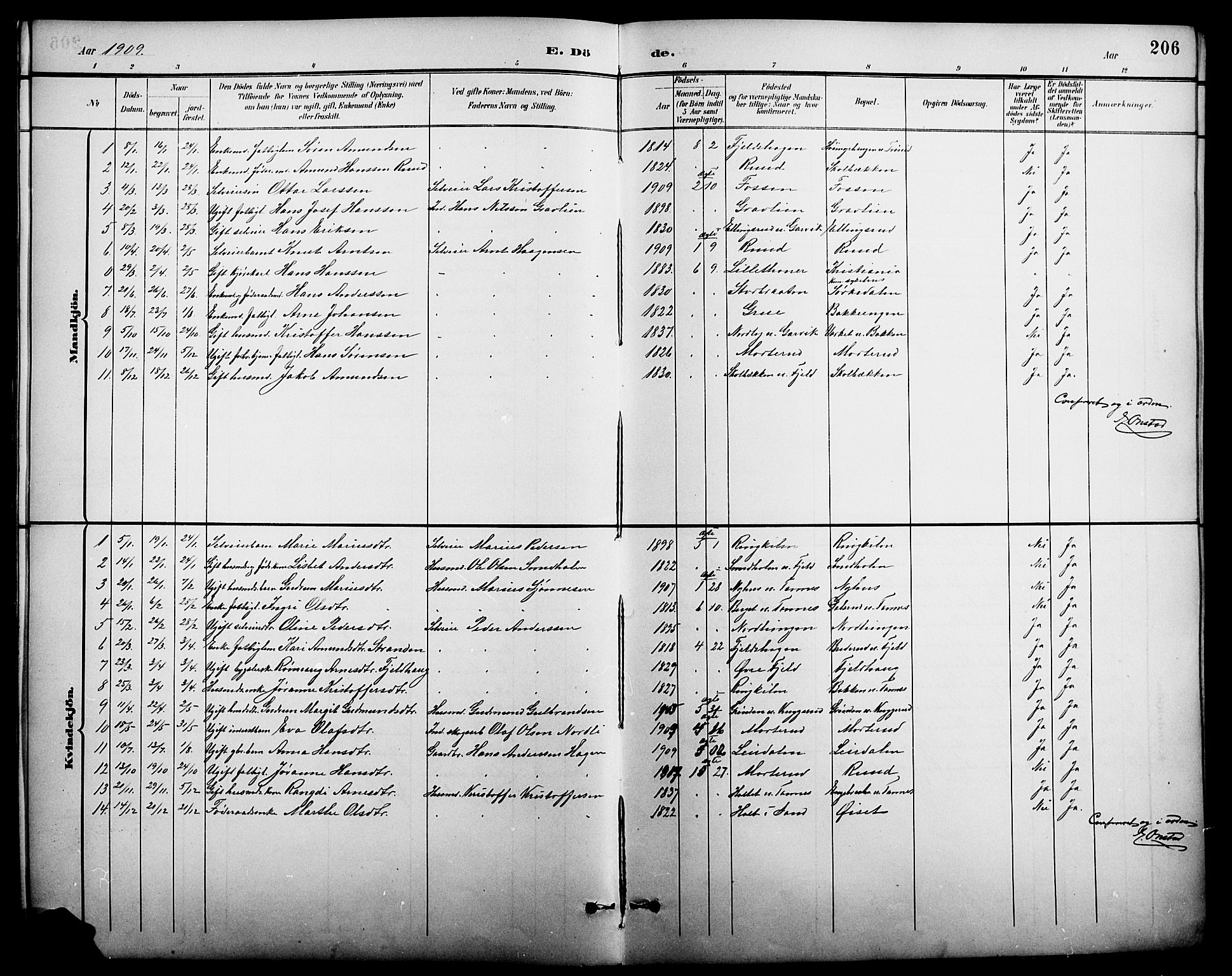 Nord-Odal prestekontor, AV/SAH-PREST-032/H/Ha/Hab/L0002: Klokkerbok nr. 2, 1895-1921, s. 206