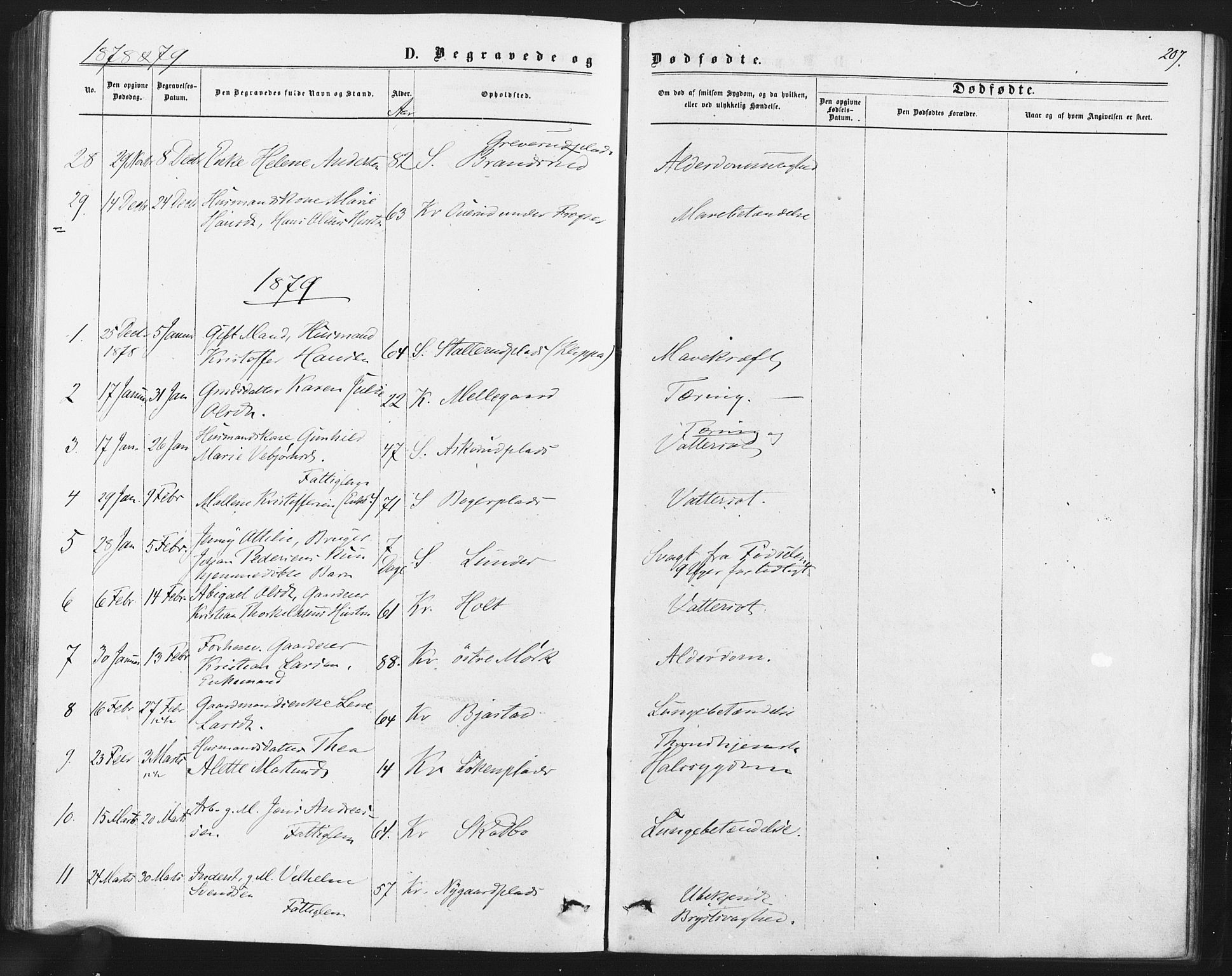 Kråkstad prestekontor Kirkebøker, AV/SAO-A-10125a/F/Fa/L0008: Ministerialbok nr. I 8, 1870-1879, s. 207