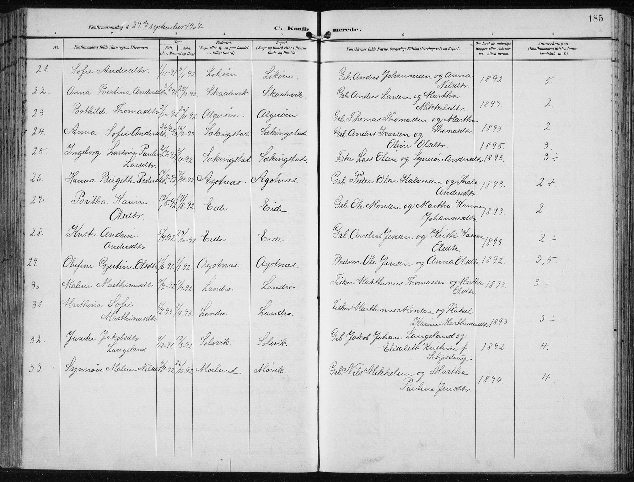 Fjell sokneprestembete, AV/SAB-A-75301/H/Haa: Ministerialbok nr. A  9, 1899-1910, s. 185