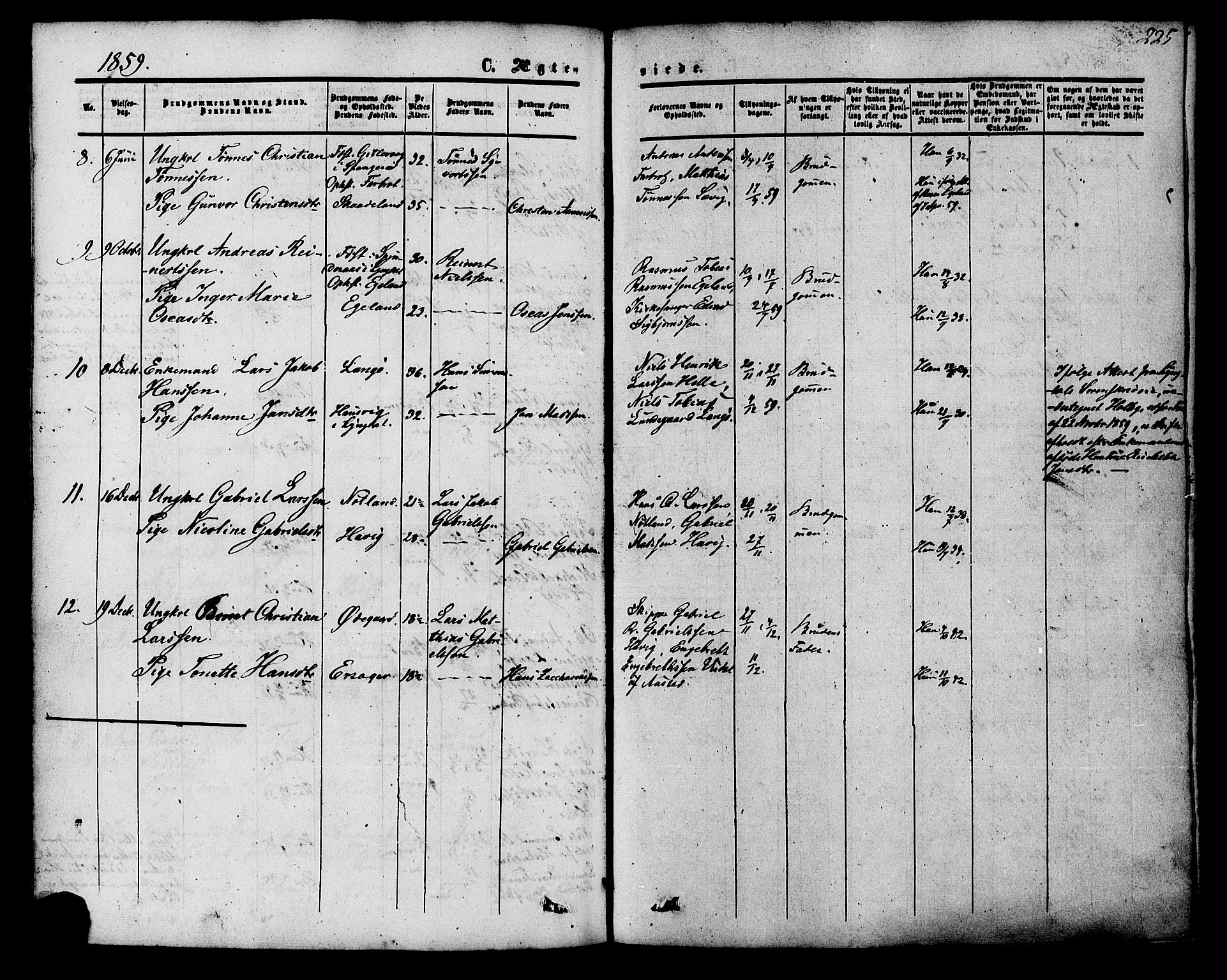 Herad sokneprestkontor, AV/SAK-1111-0018/F/Fa/Fab/L0004: Ministerialbok nr. A 4, 1853-1885, s. 225