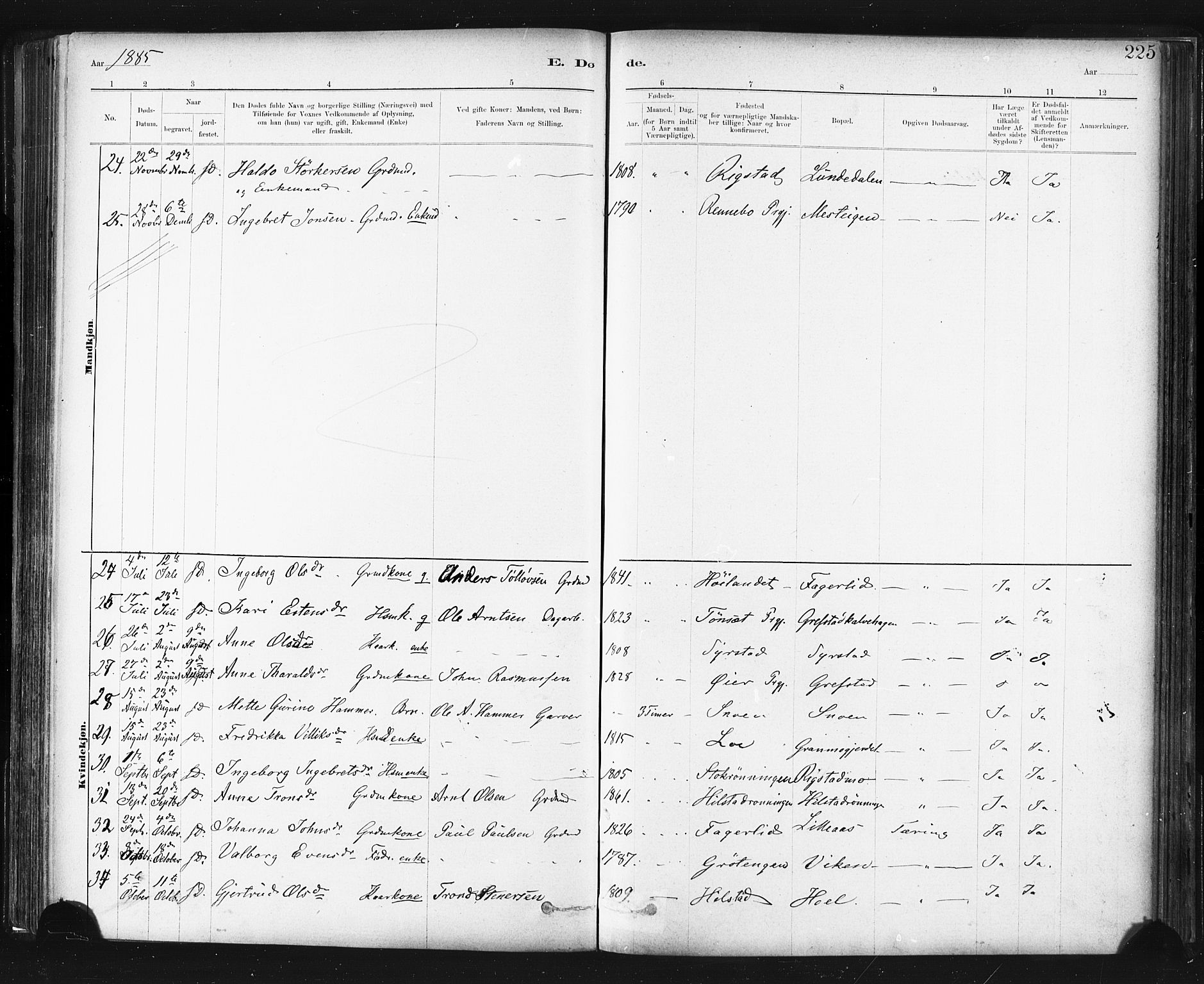 Ministerialprotokoller, klokkerbøker og fødselsregistre - Sør-Trøndelag, SAT/A-1456/672/L0857: Ministerialbok nr. 672A09, 1882-1893, s. 225