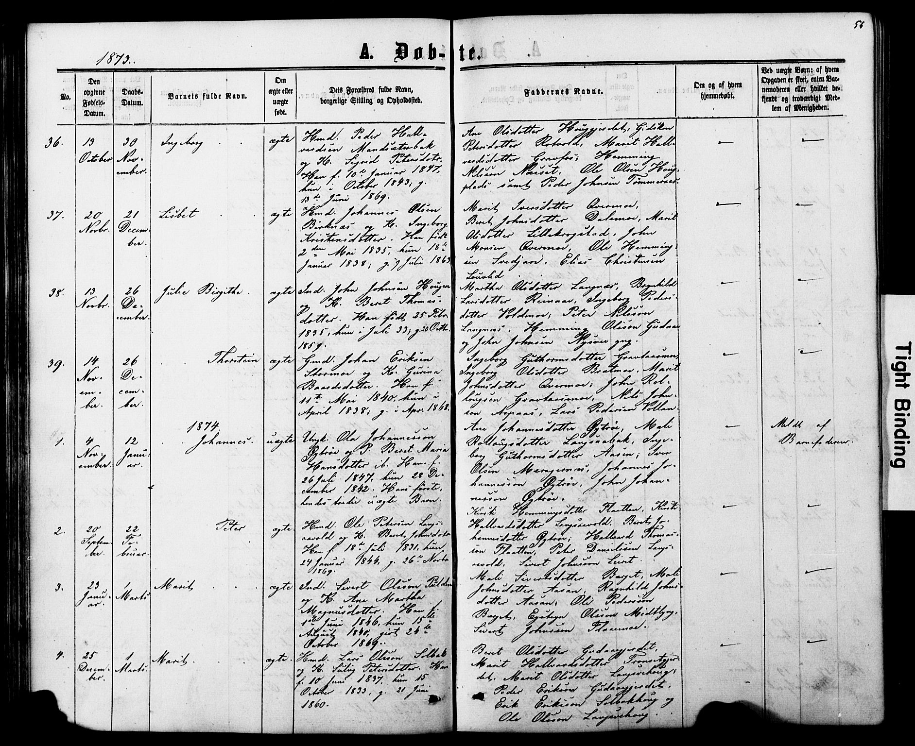 Ministerialprotokoller, klokkerbøker og fødselsregistre - Nord-Trøndelag, SAT/A-1458/706/L0049: Klokkerbok nr. 706C01, 1864-1895, s. 56