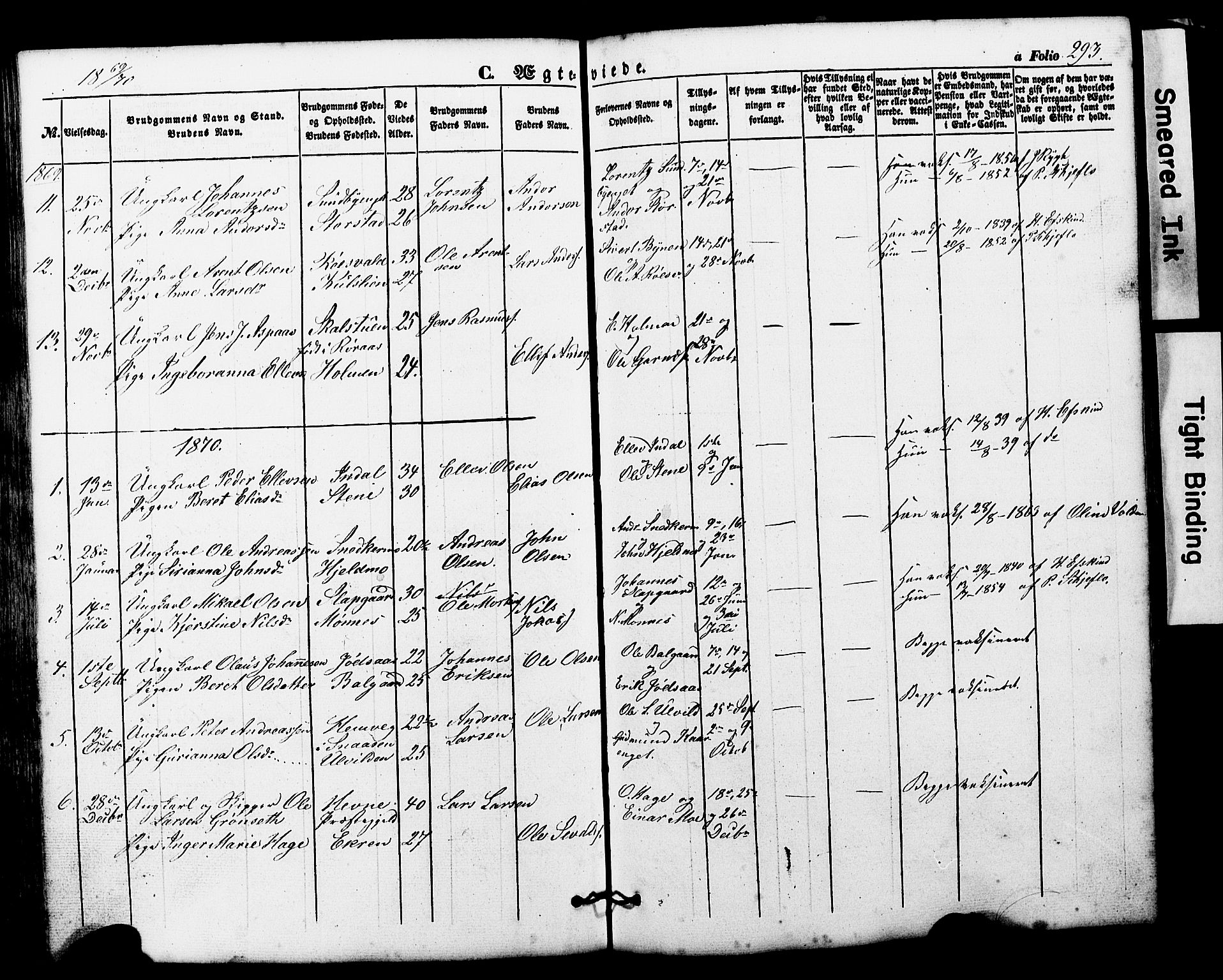 Ministerialprotokoller, klokkerbøker og fødselsregistre - Nord-Trøndelag, AV/SAT-A-1458/724/L0268: Klokkerbok nr. 724C04, 1846-1878, s. 293