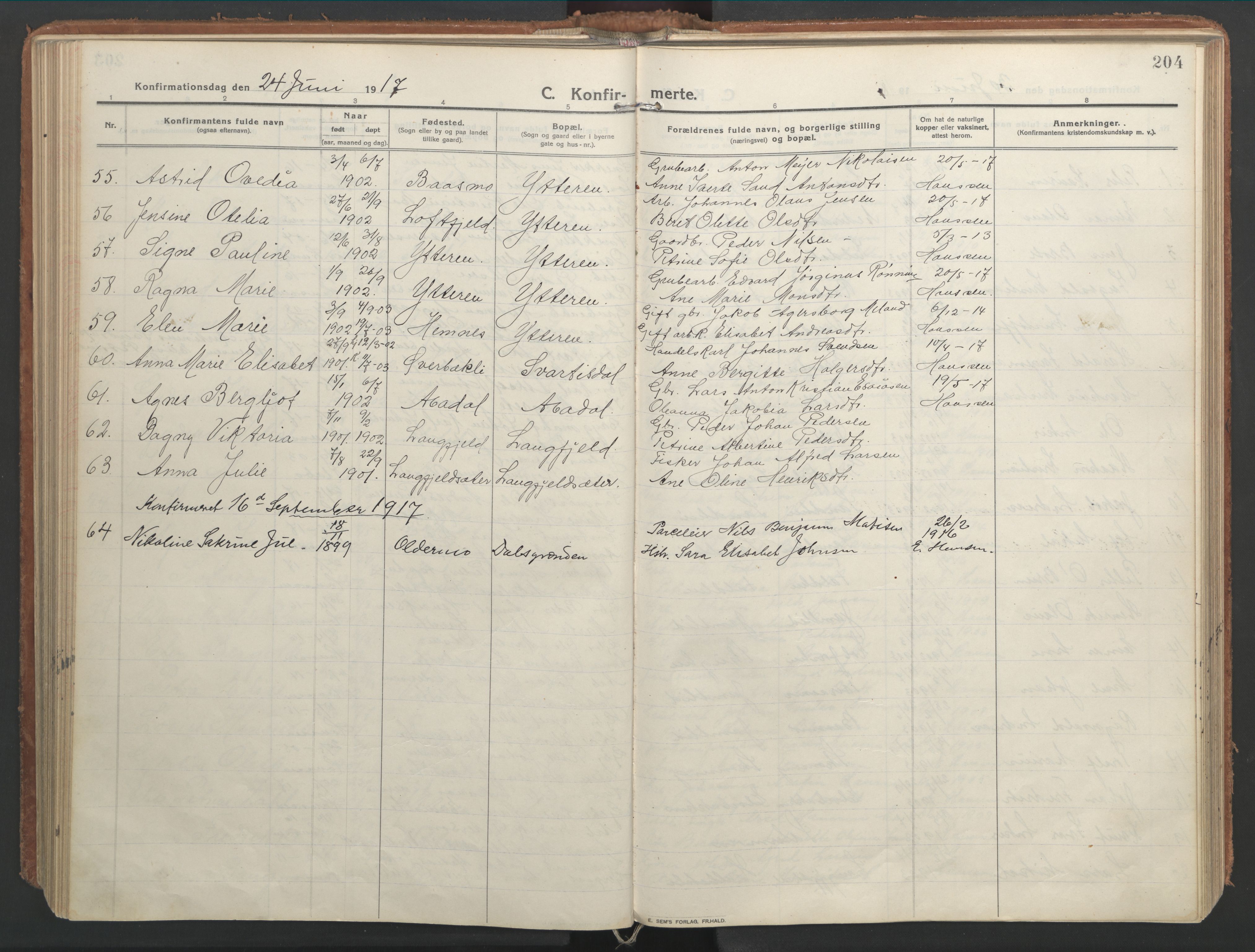 Ministerialprotokoller, klokkerbøker og fødselsregistre - Nordland, AV/SAT-A-1459/827/L0404: Ministerialbok nr. 827A16, 1912-1925, s. 204