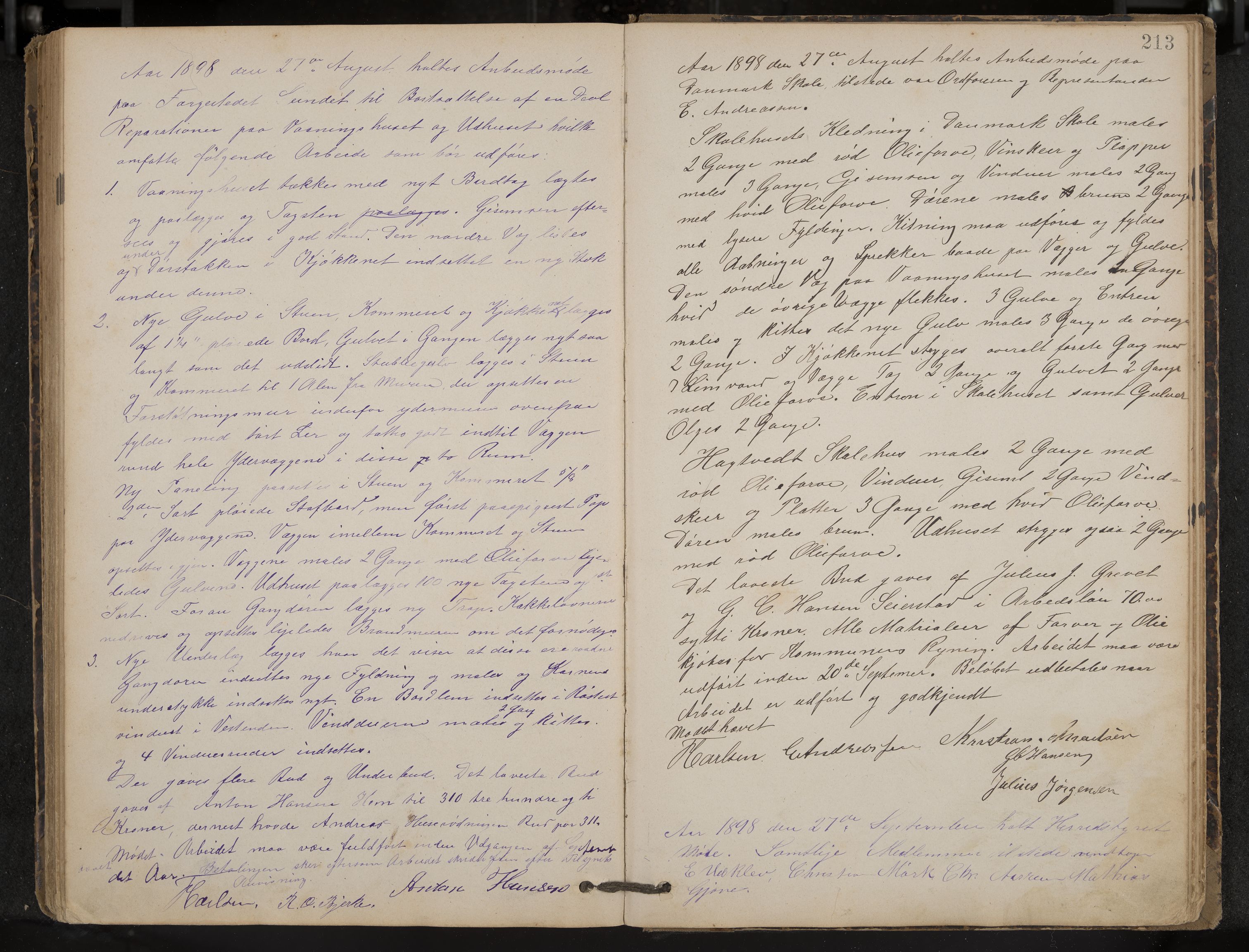 Hedrum formannskap og sentraladministrasjon, IKAK/0727021/A/Aa/L0004: Møtebok, 1888-1899, s. 213