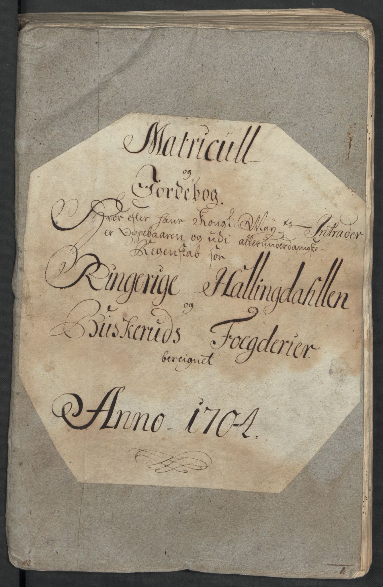 Rentekammeret inntil 1814, Reviderte regnskaper, Fogderegnskap, RA/EA-4092/R22/L1463: Fogderegnskap Ringerike, Hallingdal og Buskerud, 1704, s. 39