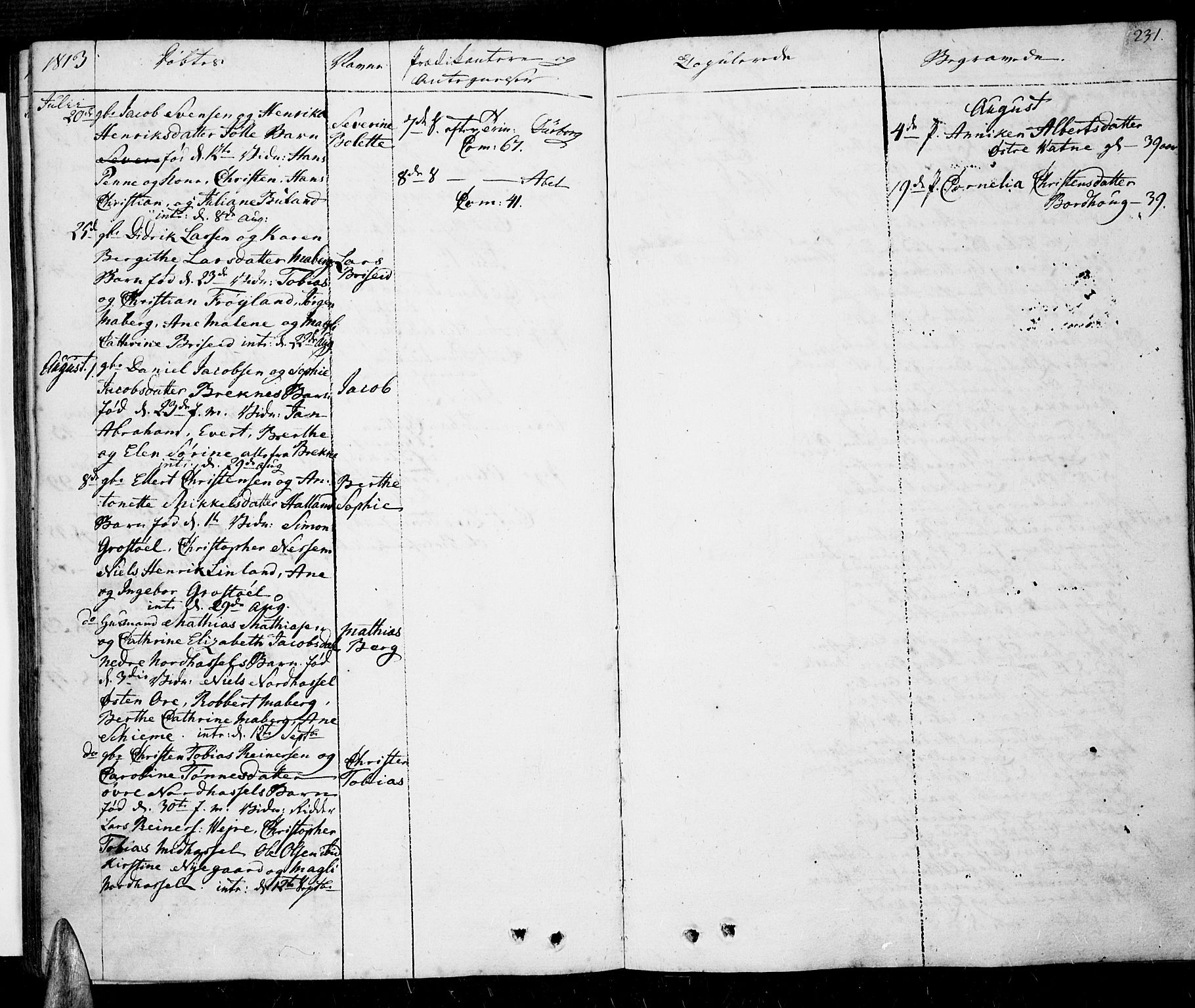 Lista sokneprestkontor, SAK/1111-0027/F/Fa/L0005: Ministerialbok nr. A 5, 1795-1823, s. 231