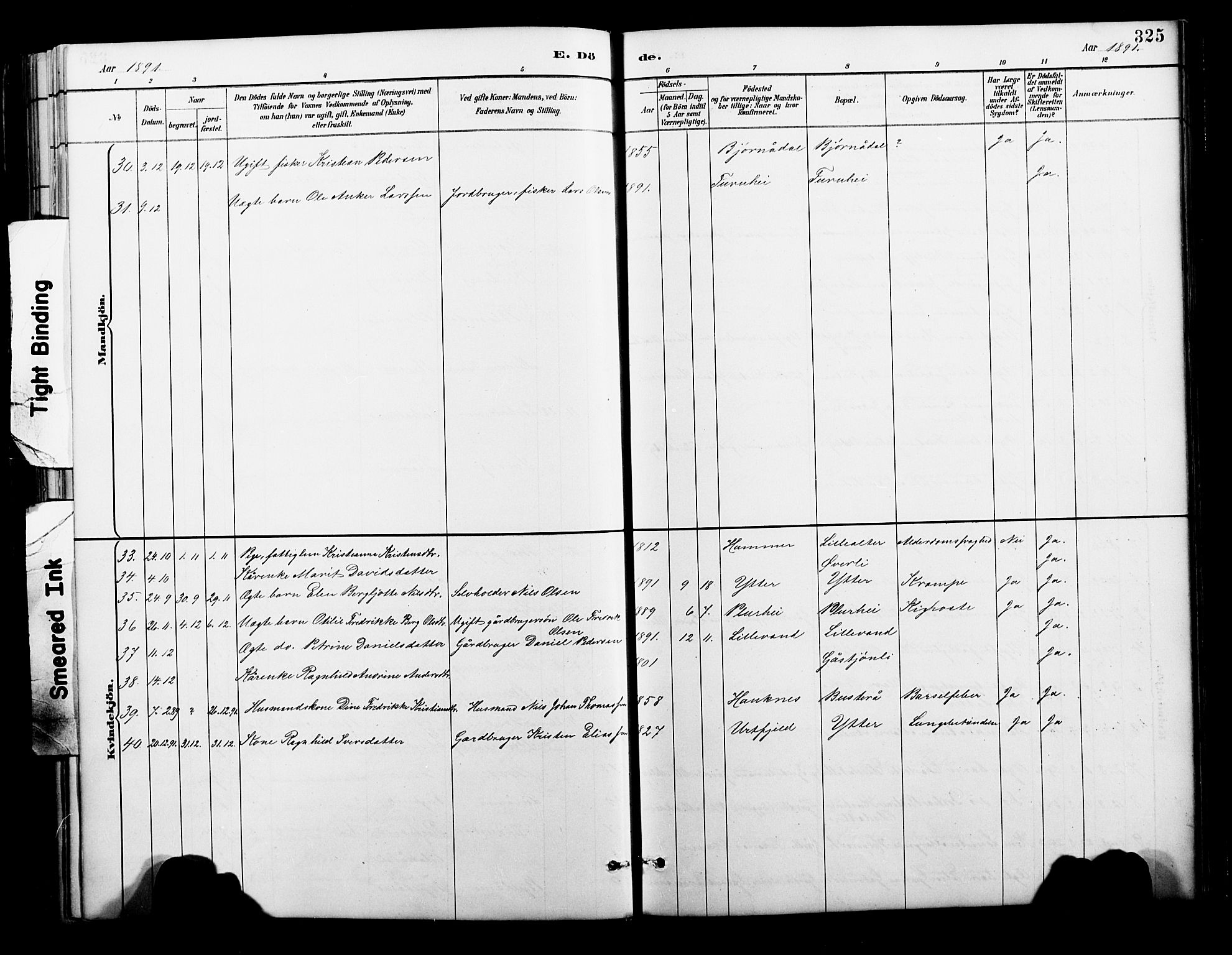Ministerialprotokoller, klokkerbøker og fødselsregistre - Nordland, SAT/A-1459/827/L0421: Klokkerbok nr. 827C10, 1887-1906, s. 325