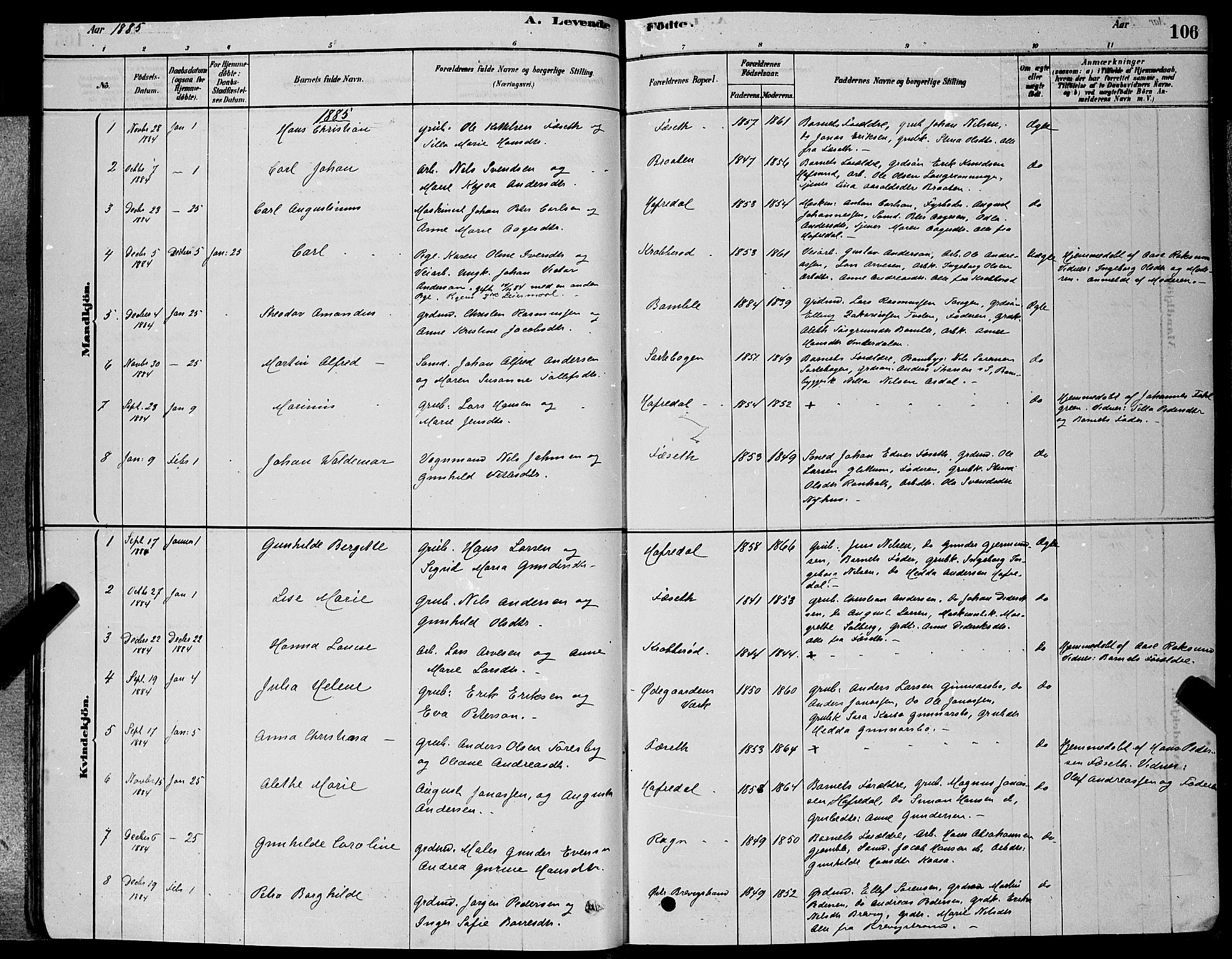 Bamble kirkebøker, AV/SAKO-A-253/G/Ga/L0008: Klokkerbok nr. I 8, 1878-1888, s. 106