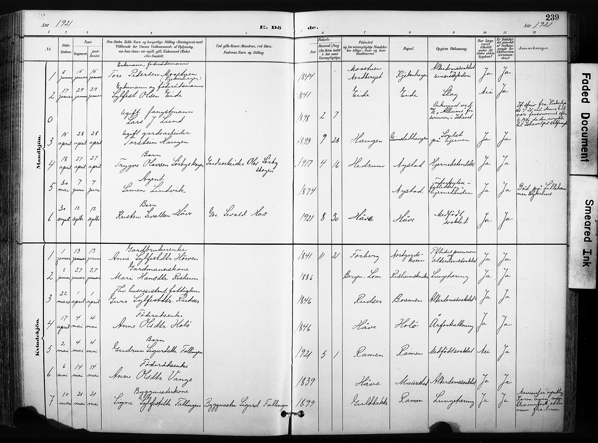 Skjåk prestekontor, AV/SAH-PREST-072/H/Ha/Hab/L0003: Klokkerbok nr. 3, 1893-1932, s. 239