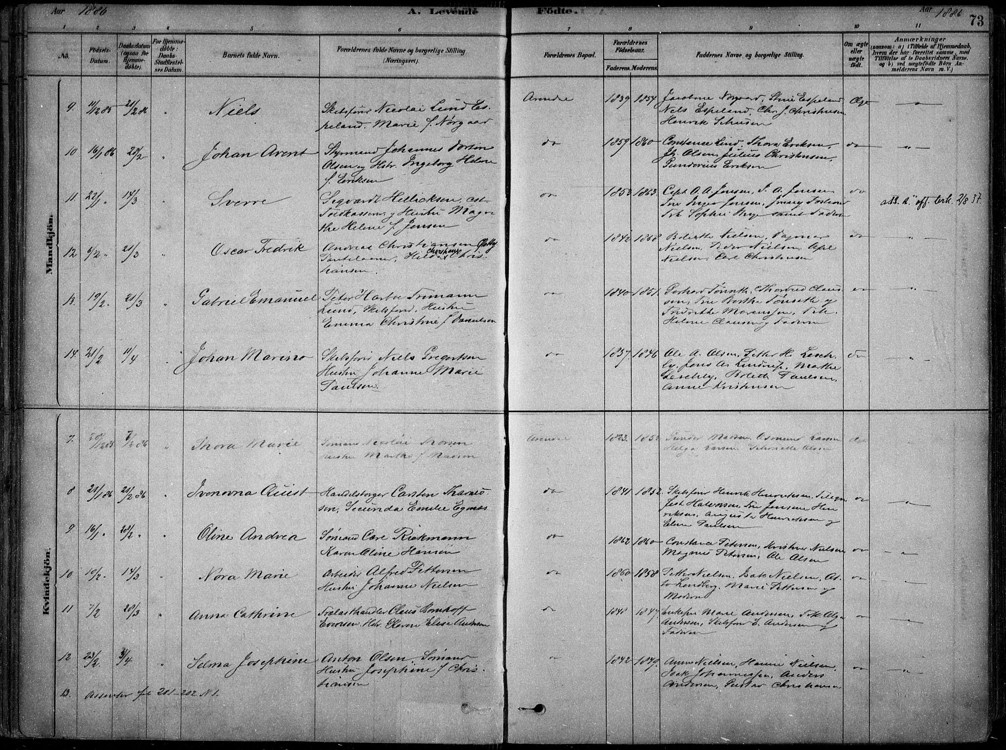 Arendal sokneprestkontor, Trefoldighet, AV/SAK-1111-0040/F/Fa/L0008: Ministerialbok nr. A 8, 1878-1899, s. 73