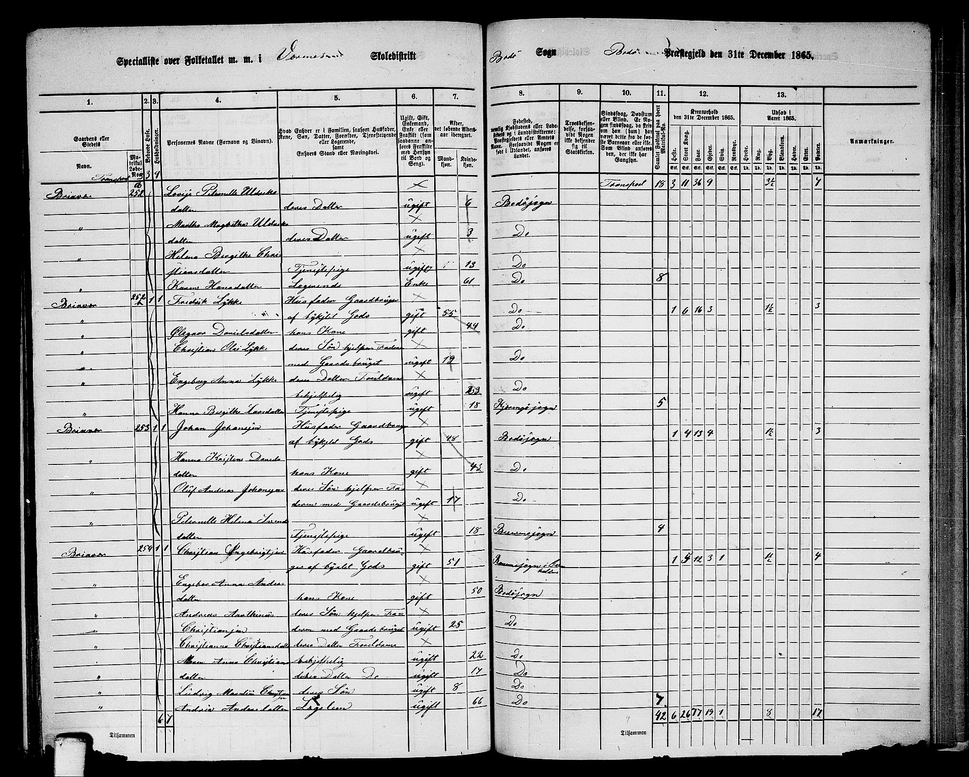 RA, Folketelling 1865 for 1843L Bodø prestegjeld, Bodø landsokn, 1865, s. 137