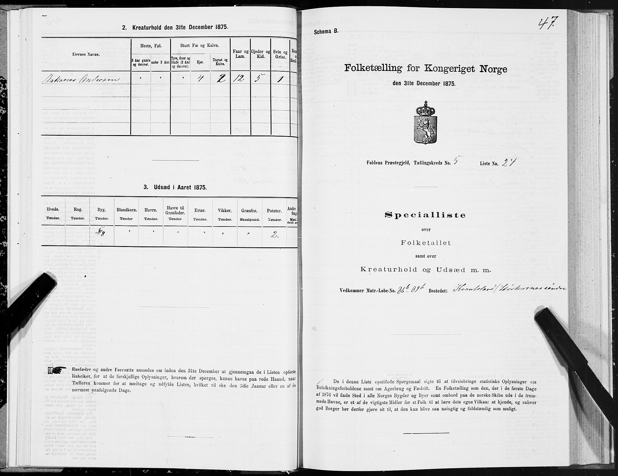 SAT, Folketelling 1875 for 1845P Folda prestegjeld, 1875, s. 2047