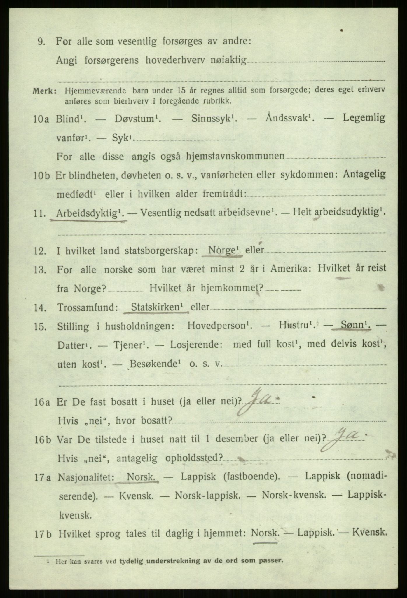 SATØ, Folketelling 1920 for 1917 Ibestad herred, 1920, s. 10946