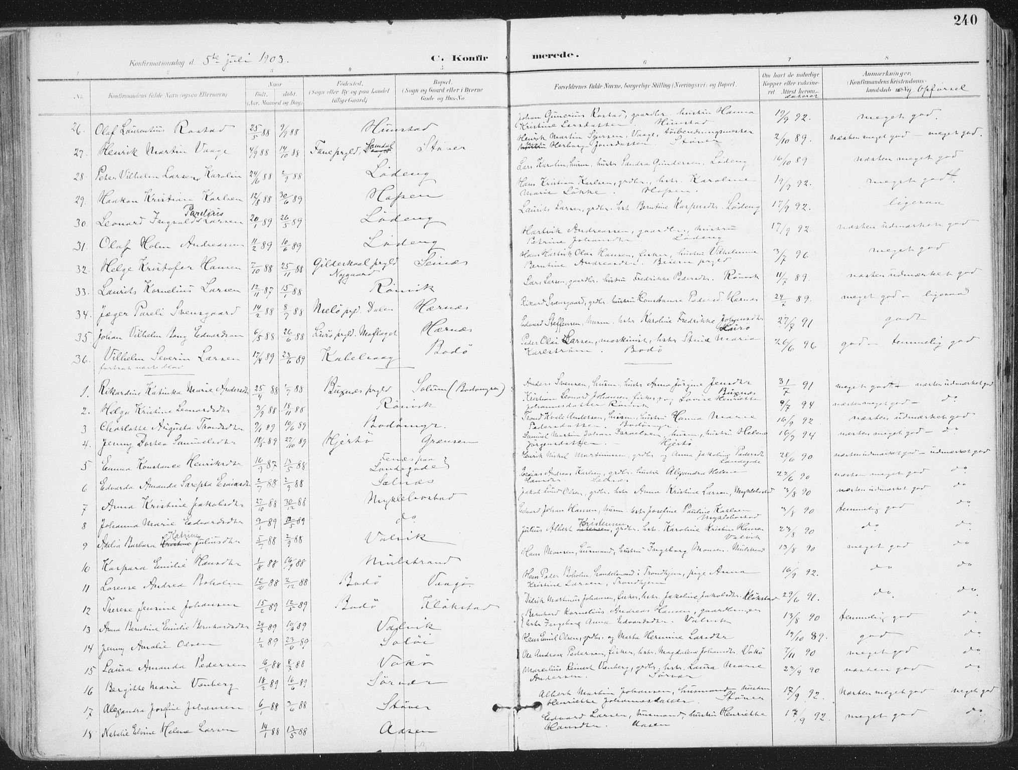Ministerialprotokoller, klokkerbøker og fødselsregistre - Nordland, SAT/A-1459/802/L0055: Ministerialbok nr. 802A02, 1894-1915, s. 240