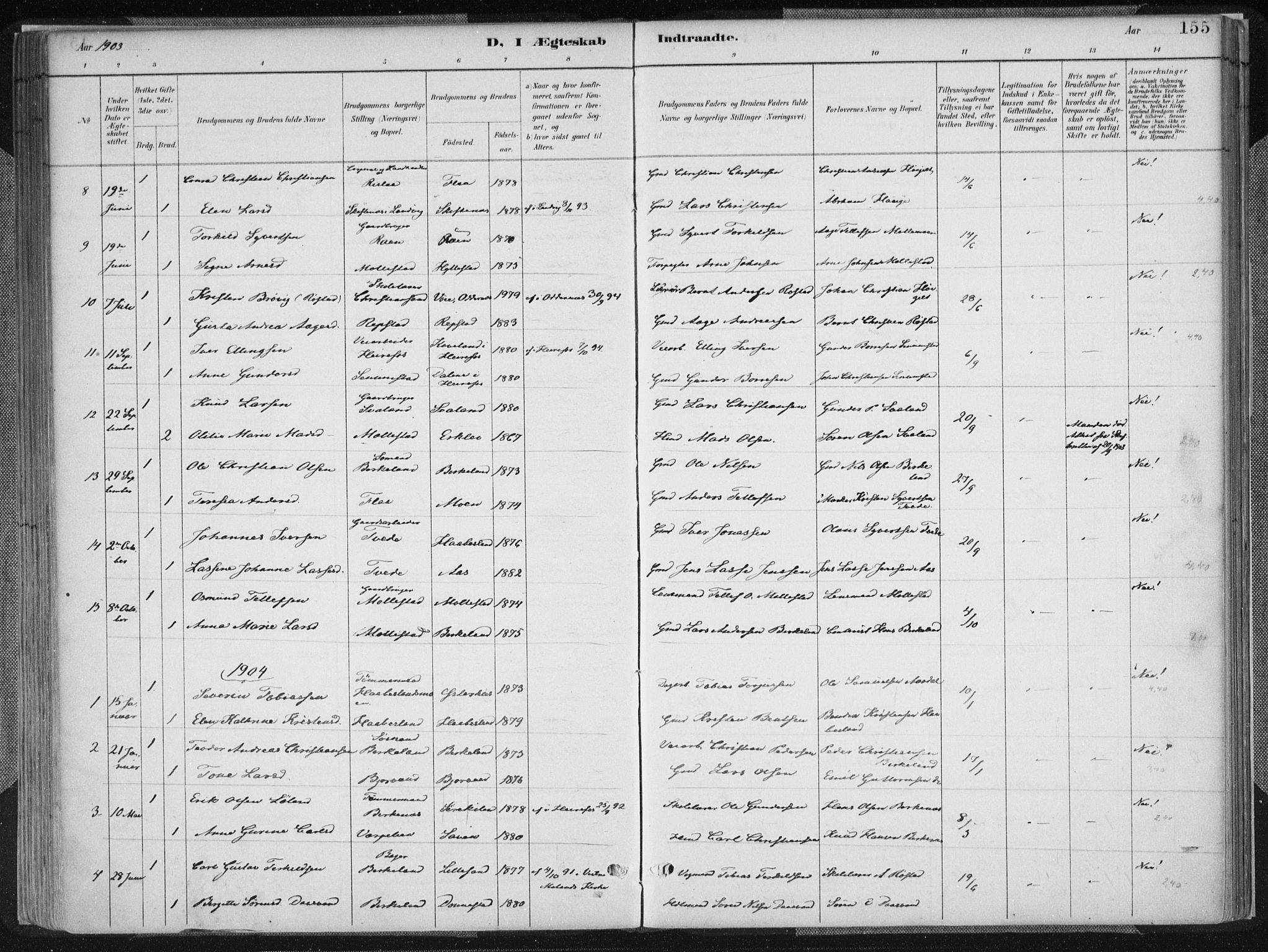 Birkenes sokneprestkontor, SAK/1111-0004/F/Fa/L0005: Ministerialbok nr. A 5, 1887-1907, s. 155