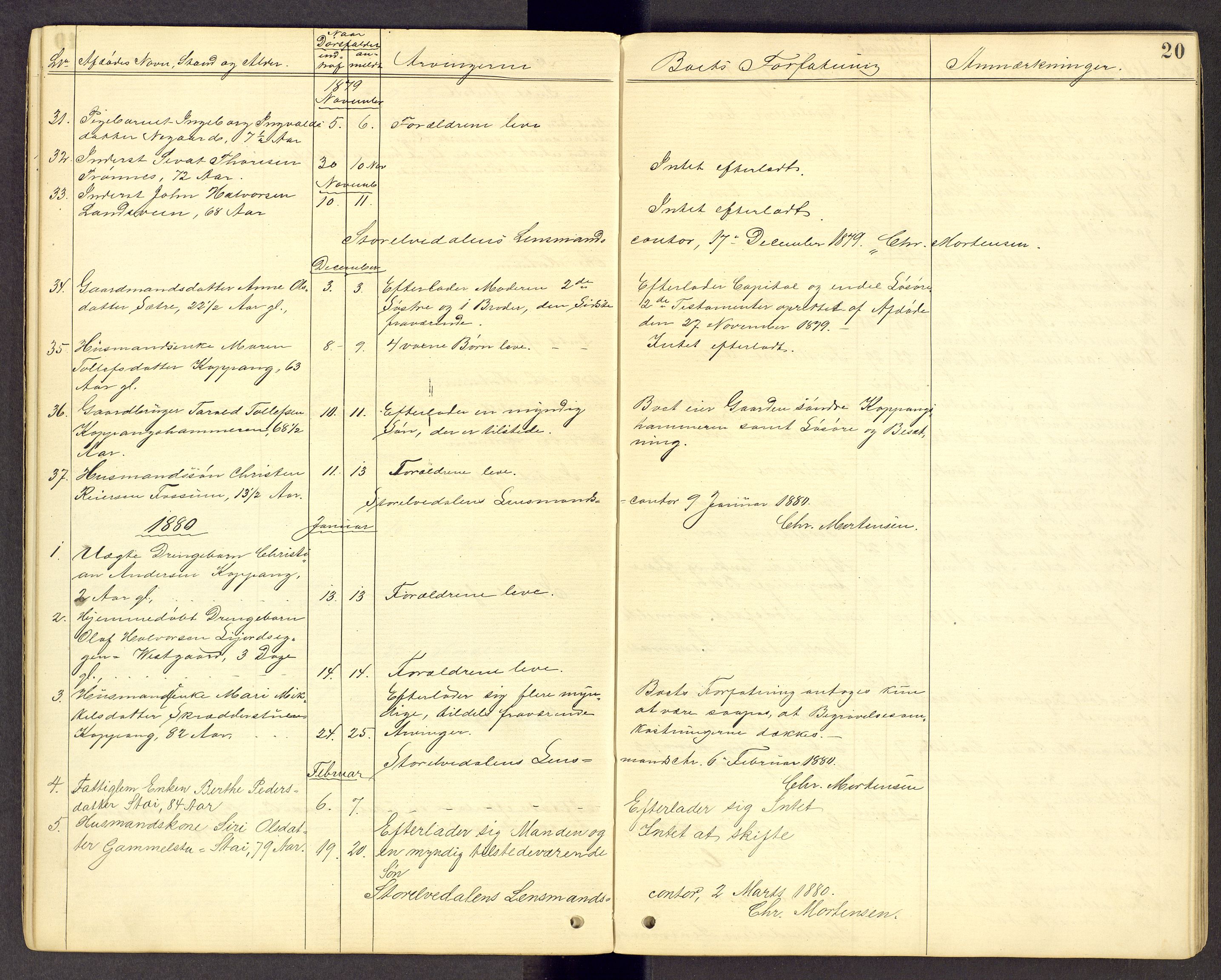 Sør-Østerdal sorenskriveri, AV/SAH-TING-018/J/Jg/L0014: Dødsfallsjournal, 1874-1908, s. 20