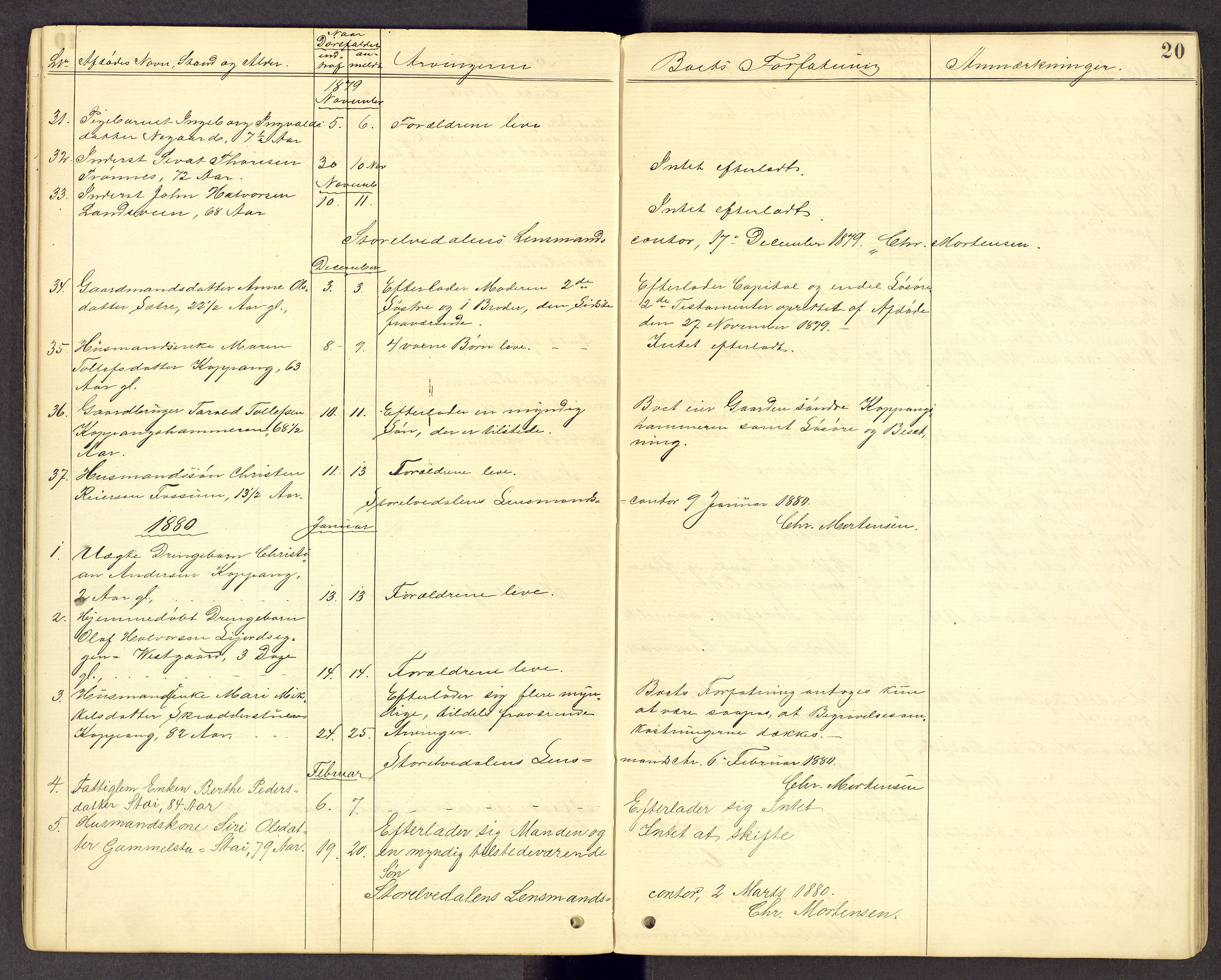 Sør-Østerdal sorenskriveri, SAH/TING-018/J/Jg/L0014: Dødsfallsjournal, 1874-1908, s. 20