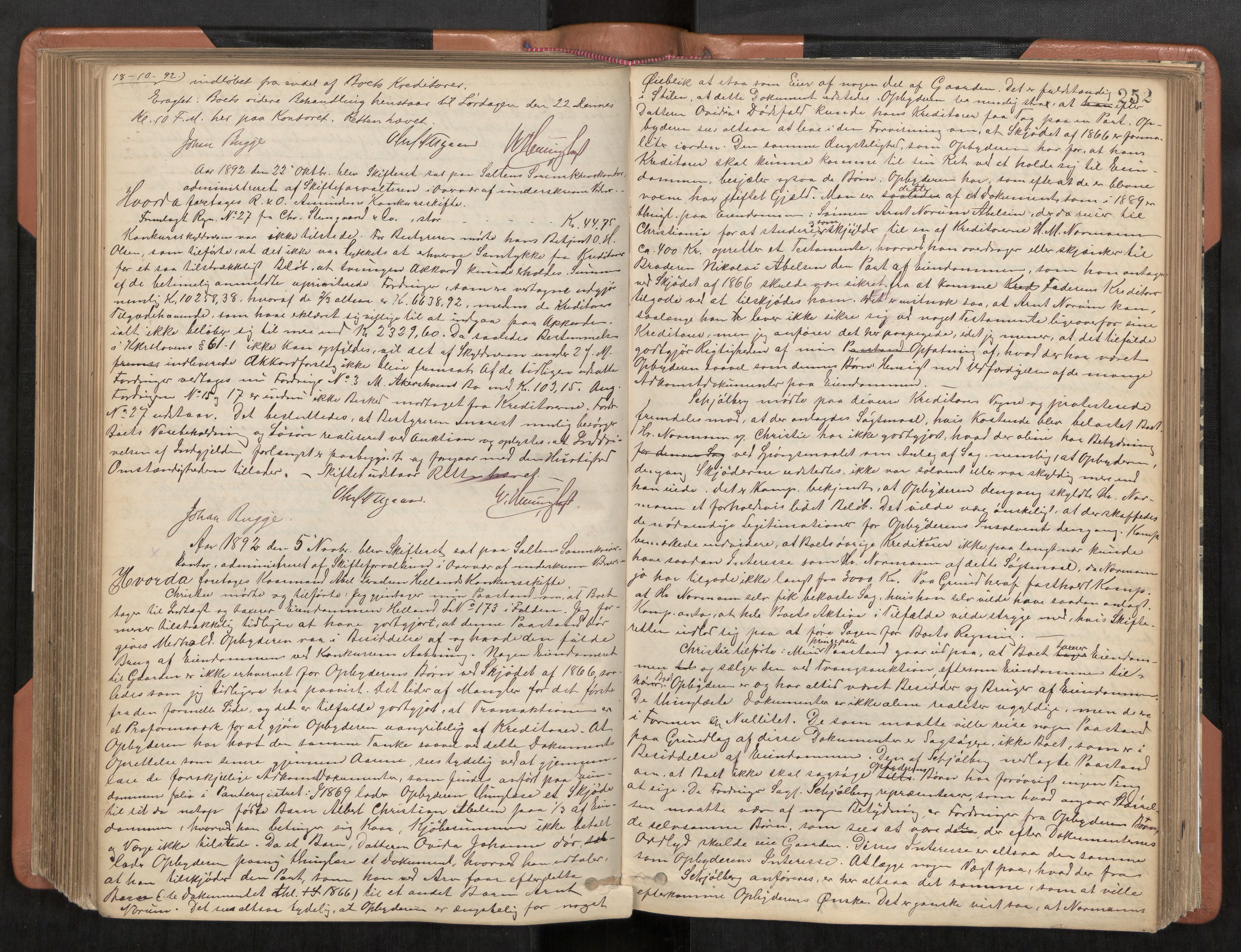 Steigen og Ofoten sorenskriveri, AV/SAT-A-0030/1/3/3B/L0001: Skiftebehandlingsprotokoll, 1879-1901, s. 252