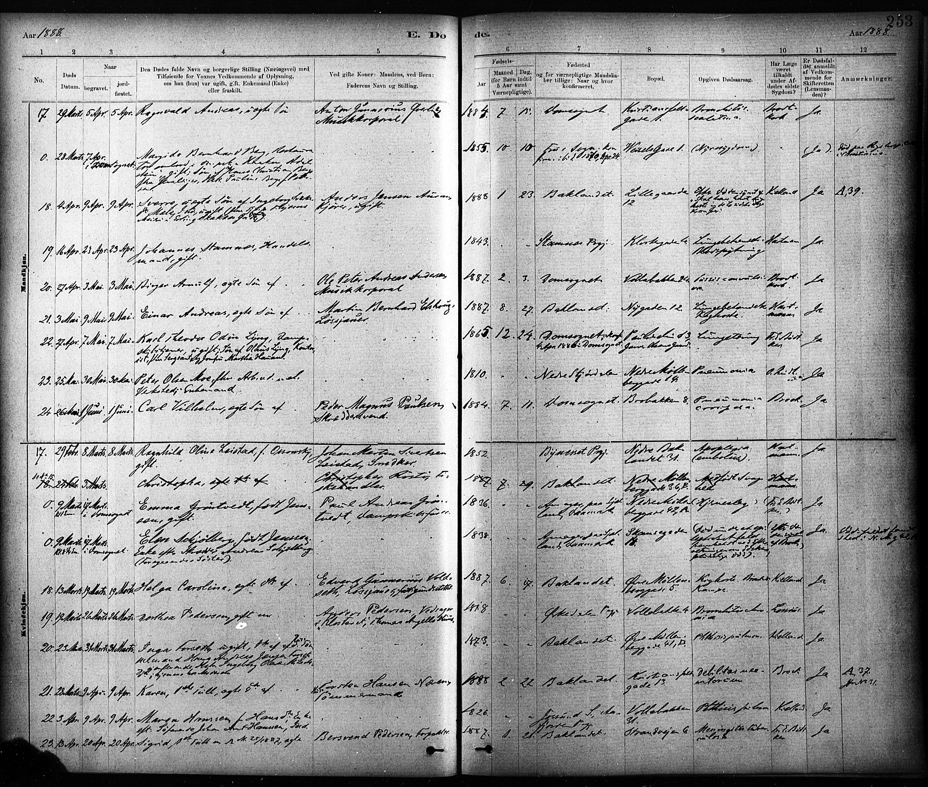 Ministerialprotokoller, klokkerbøker og fødselsregistre - Sør-Trøndelag, SAT/A-1456/604/L0189: Ministerialbok nr. 604A10, 1878-1892, s. 253