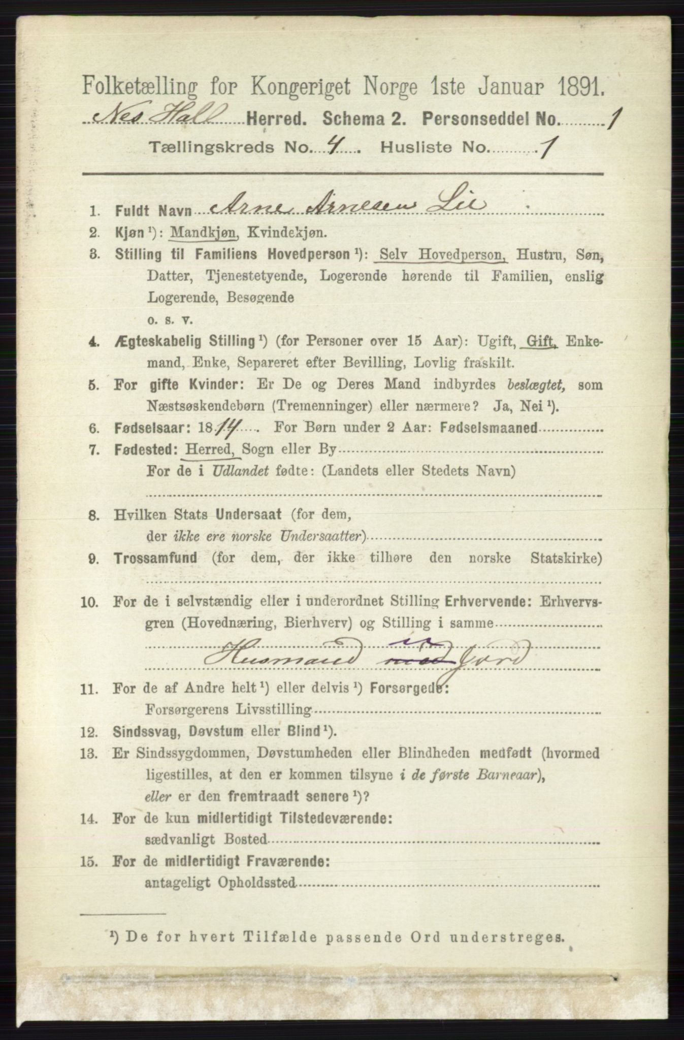 RA, Folketelling 1891 for 0616 Nes herred, 1891, s. 2113