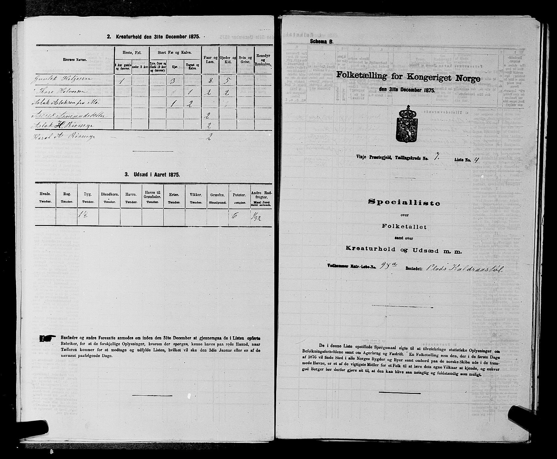 SAKO, Folketelling 1875 for 0834P Vinje prestegjeld, 1875, s. 498