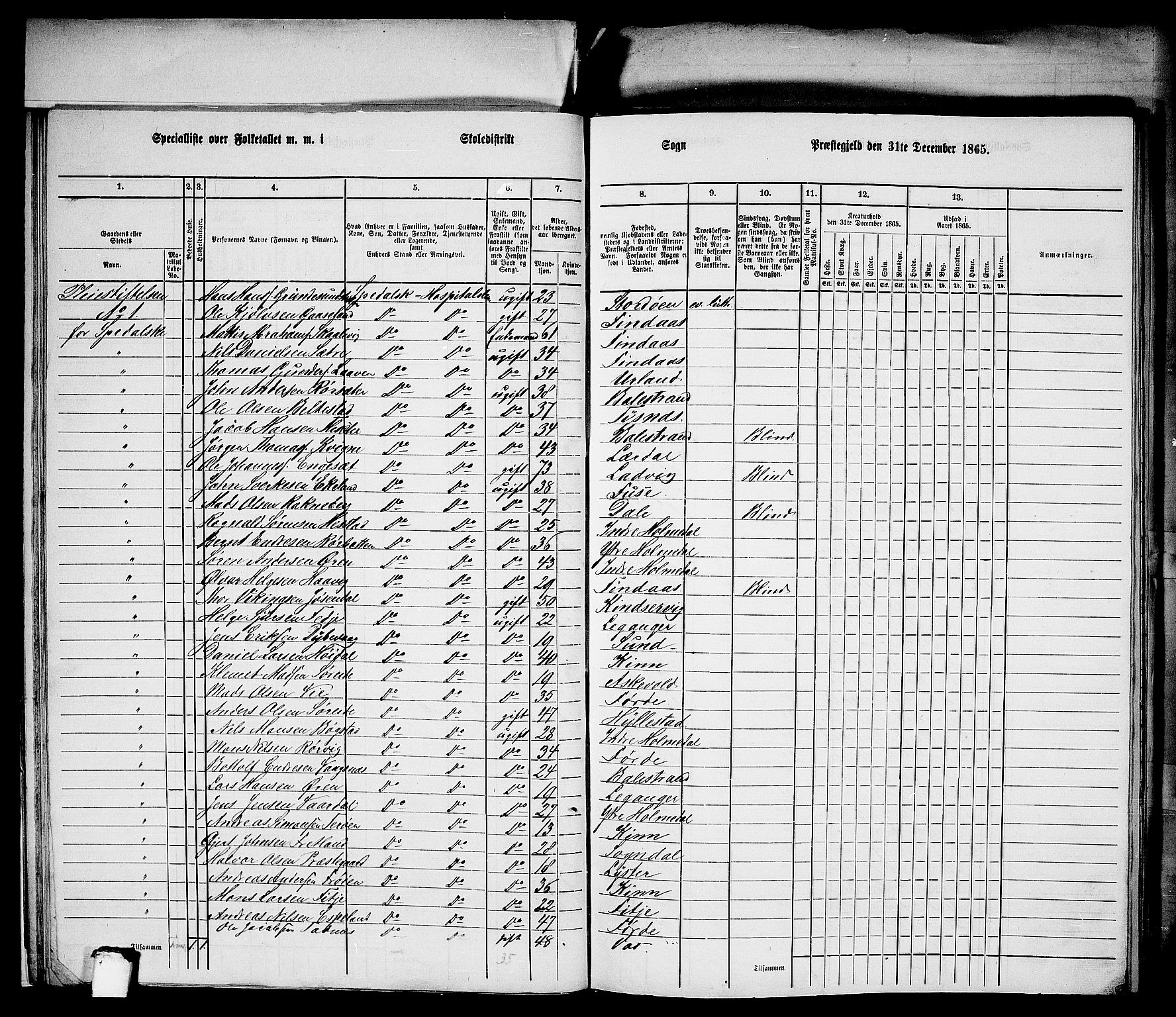 RA, Folketelling 1865 for 1281L Bergen Landdistrikt, Domkirkens landsokn og Korskirkens landsokn, 1865, s. 19