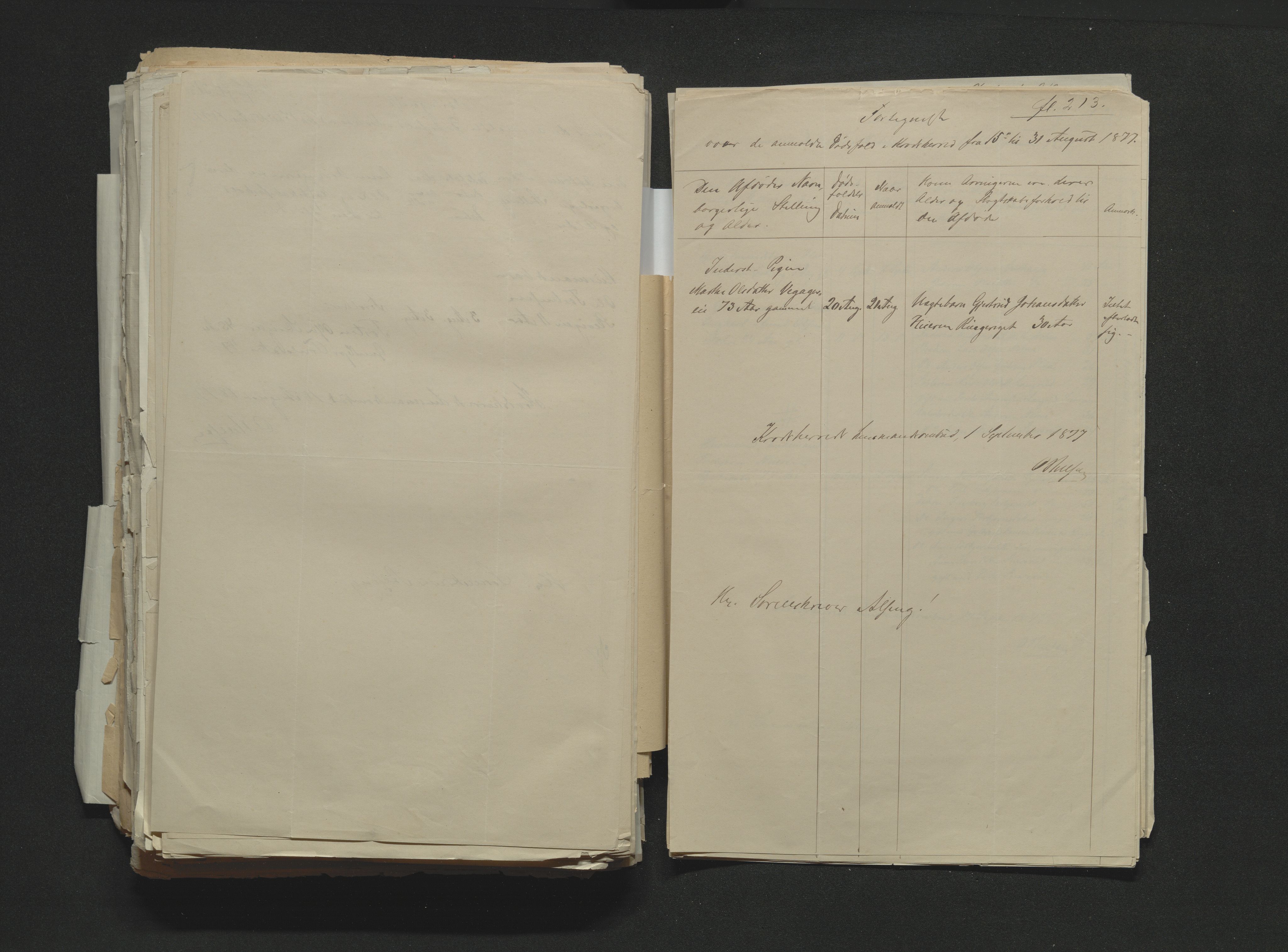 Eiker, Modum og Sigdal sorenskriveri, AV/SAKO-A-123/H/Ha/Hab/L0014: Dødsfallsmeldinger, 1874-1877, s. 744