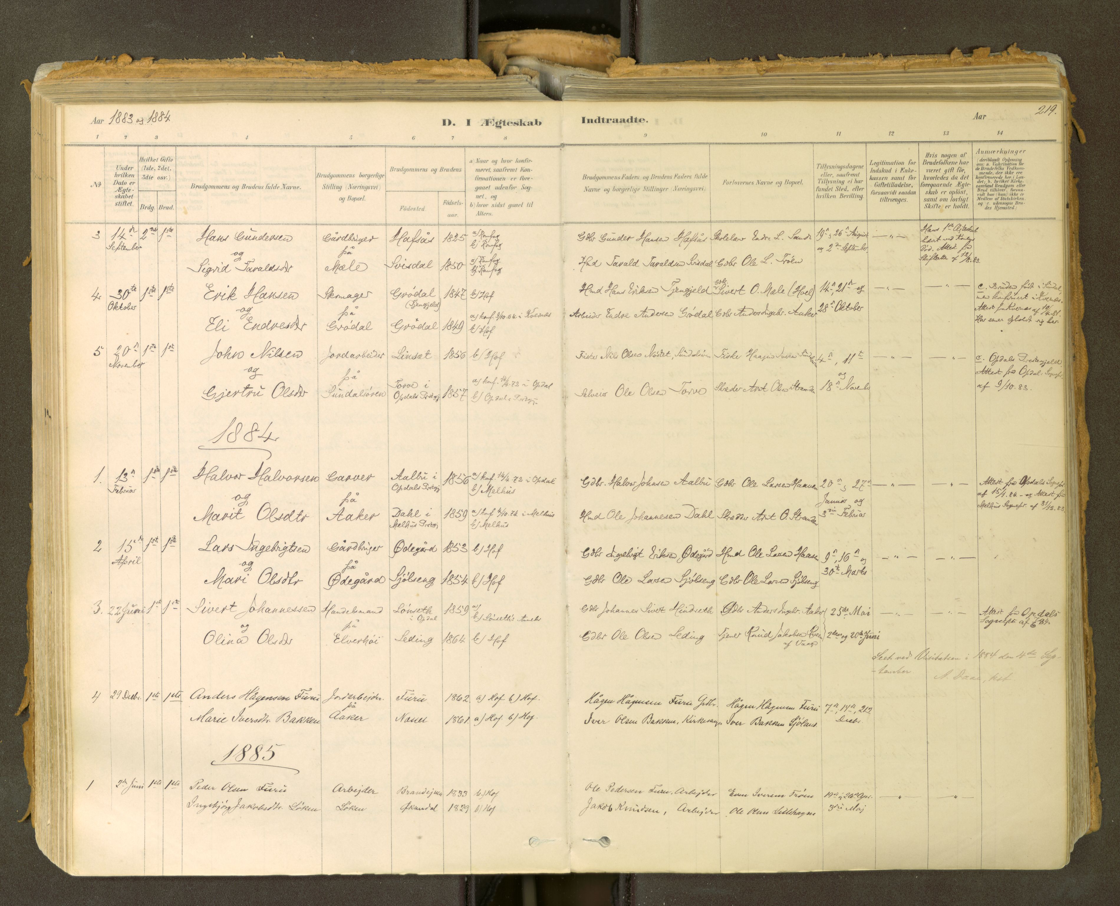 Sunndal sokneprestkontor, SAT/A-1085/1/I/I1/I1a: Ministerialbok nr. 2, 1877-1914, s. 219