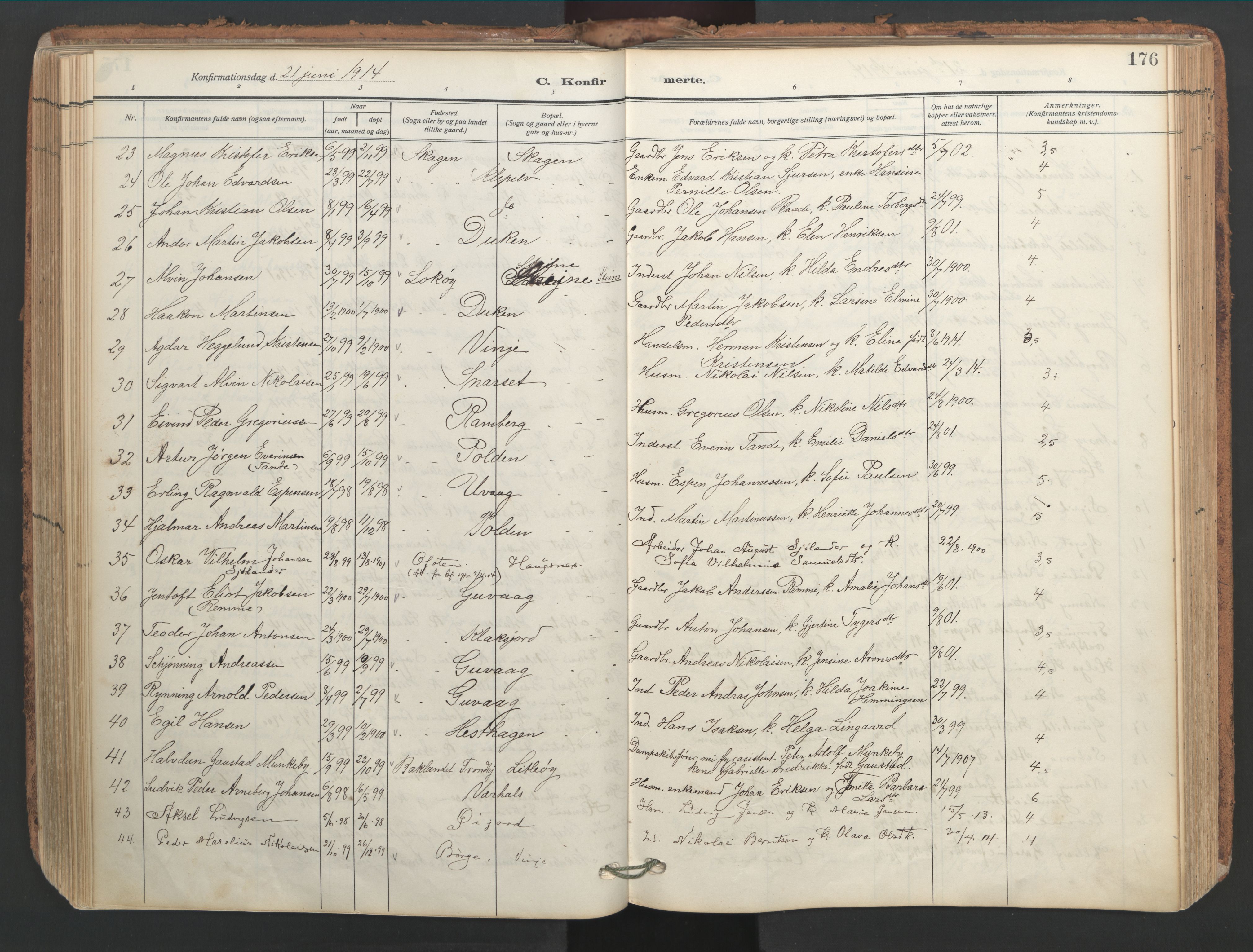 Ministerialprotokoller, klokkerbøker og fødselsregistre - Nordland, AV/SAT-A-1459/891/L1306: Ministerialbok nr. 891A11, 1911-1927, s. 176