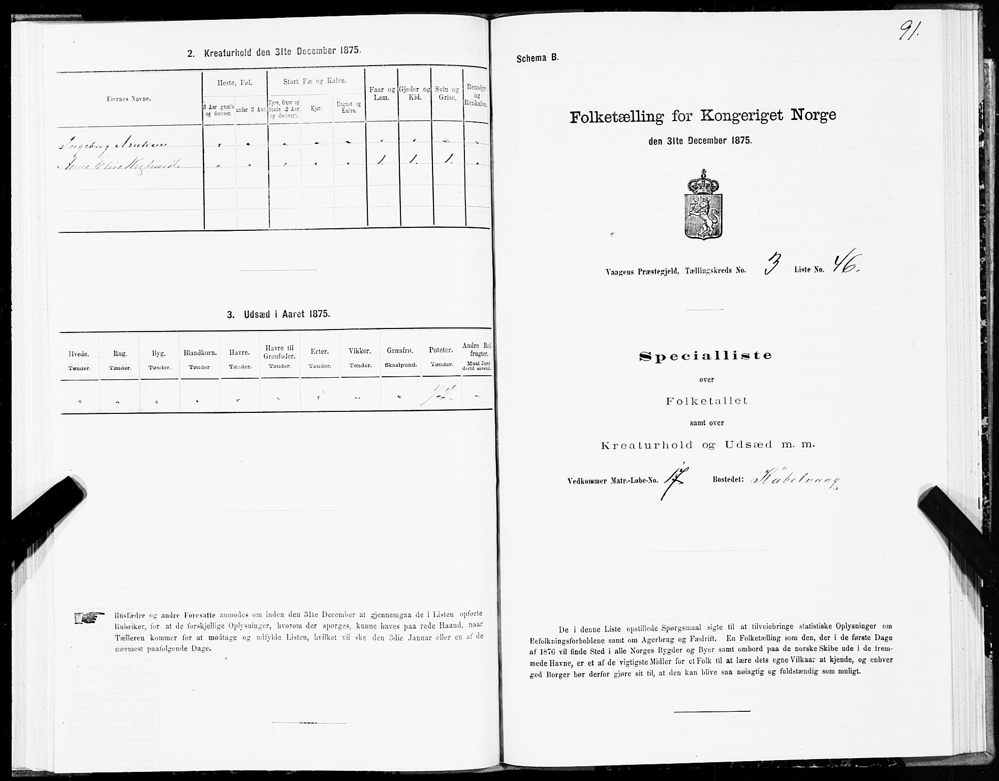 SAT, Folketelling 1875 for 1865P Vågan prestegjeld, 1875, s. 2091