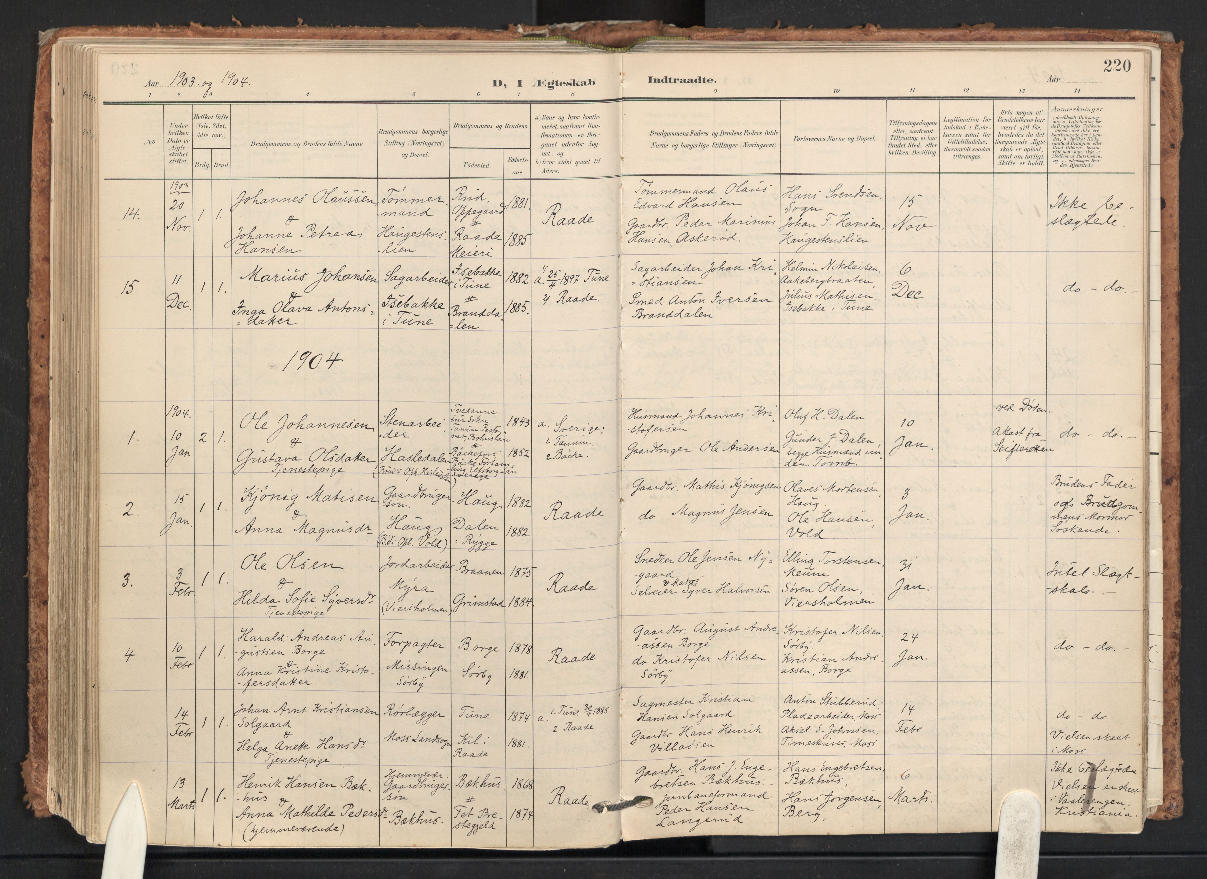 Råde prestekontor kirkebøker, AV/SAO-A-2009/F/Fa/L0008: Ministerialbok nr. 8, 1903-1924, s. 220